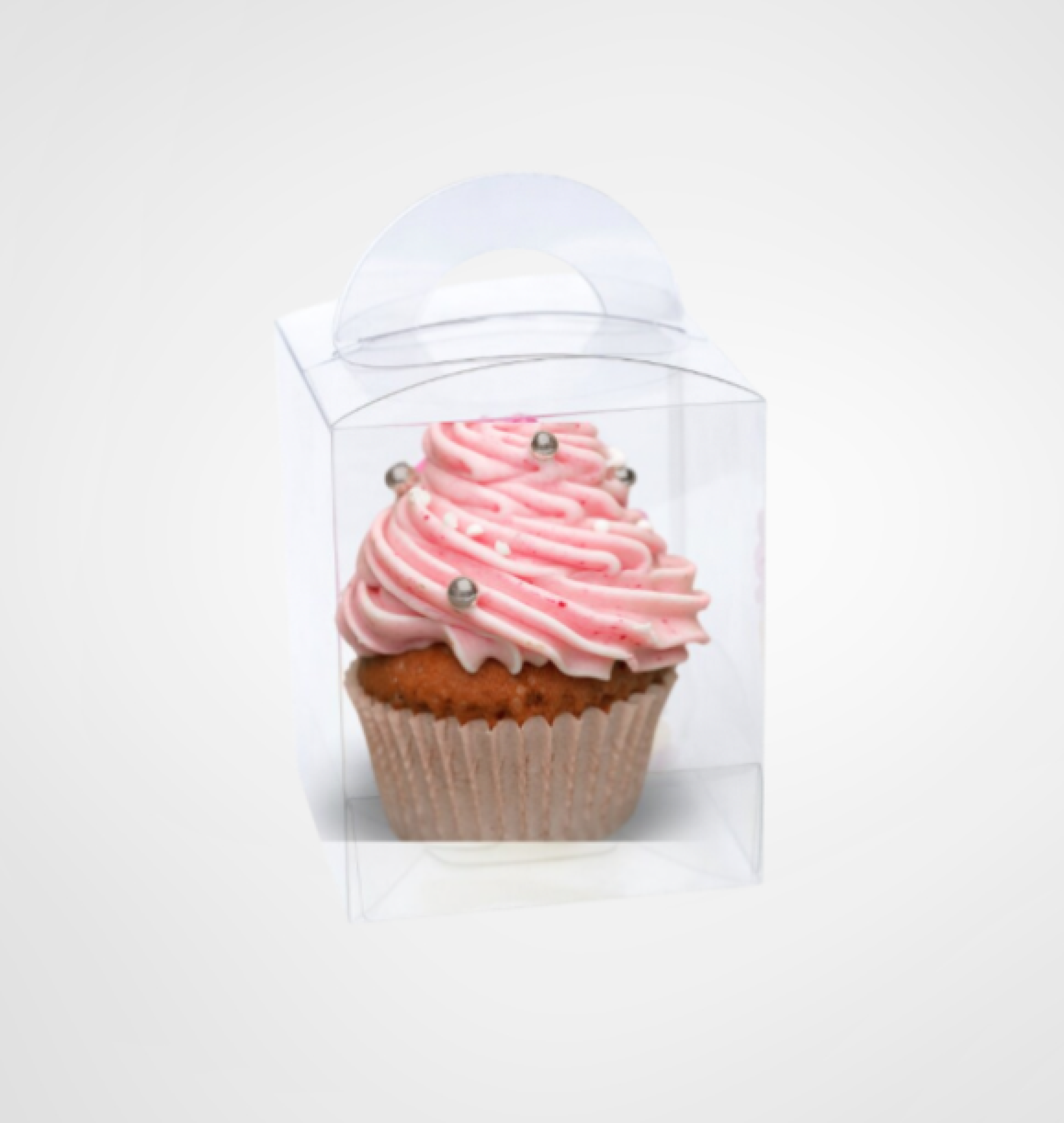 cupcake box