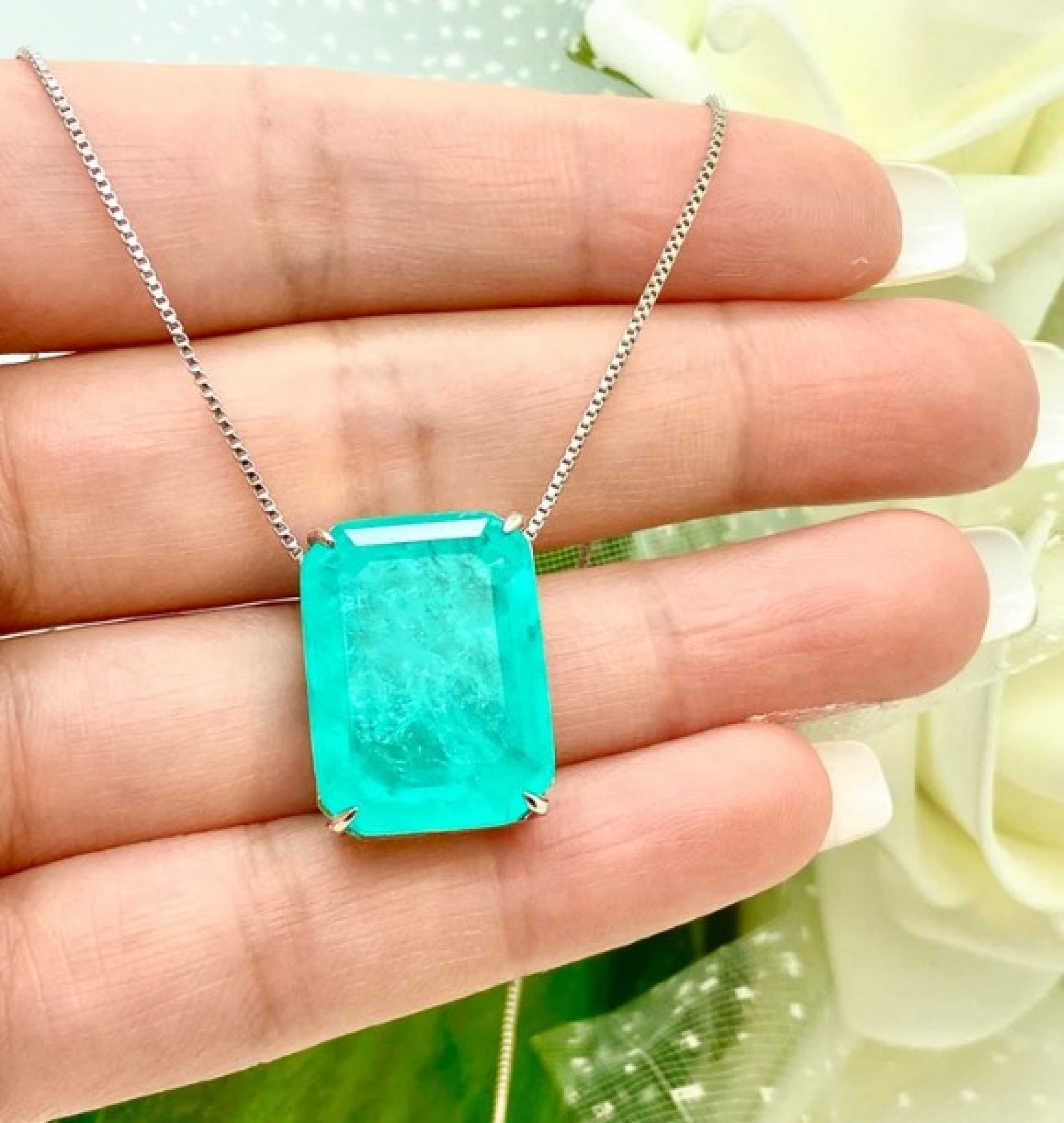 paraiba set