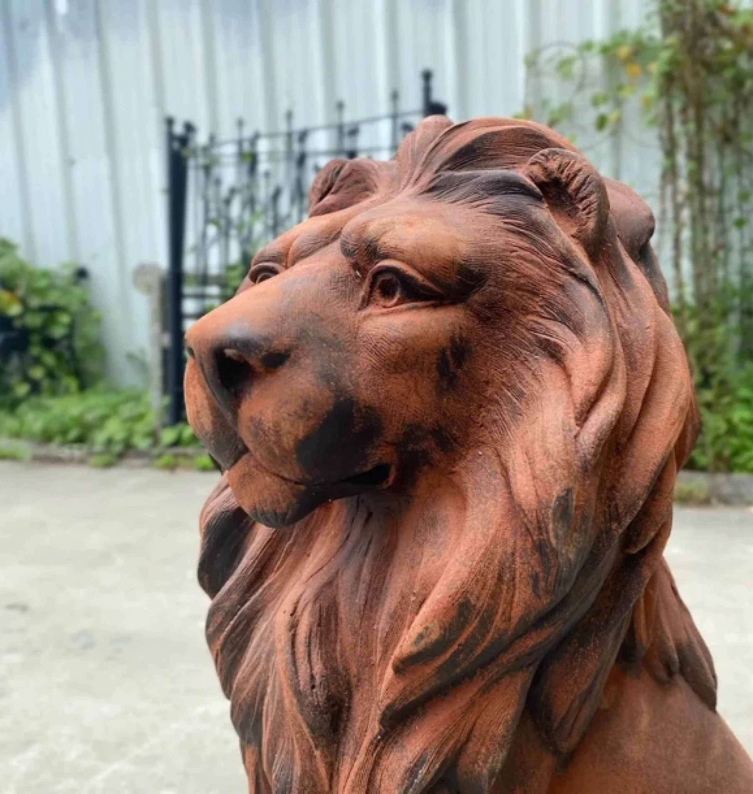 lion statue