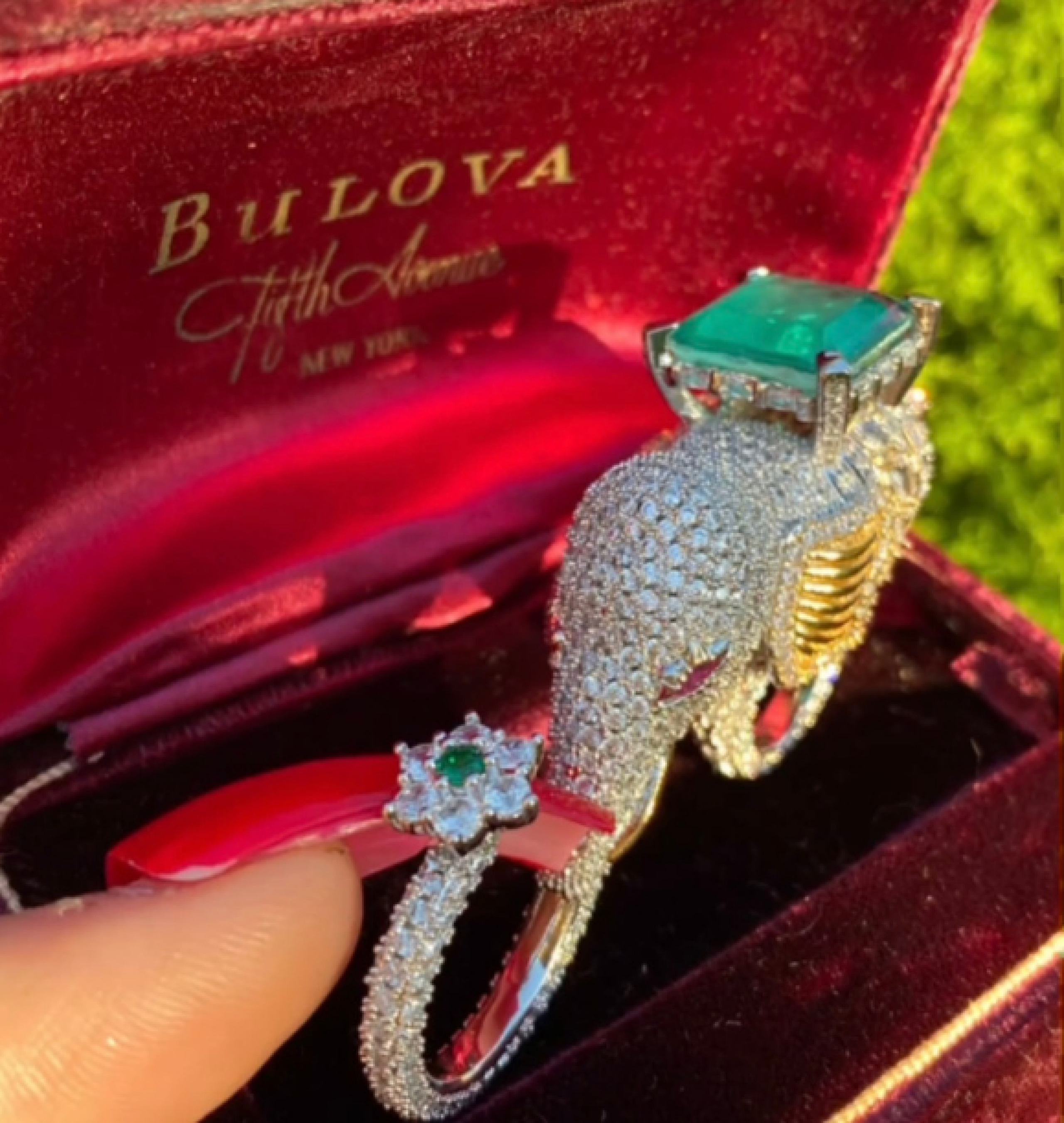 elephant ring