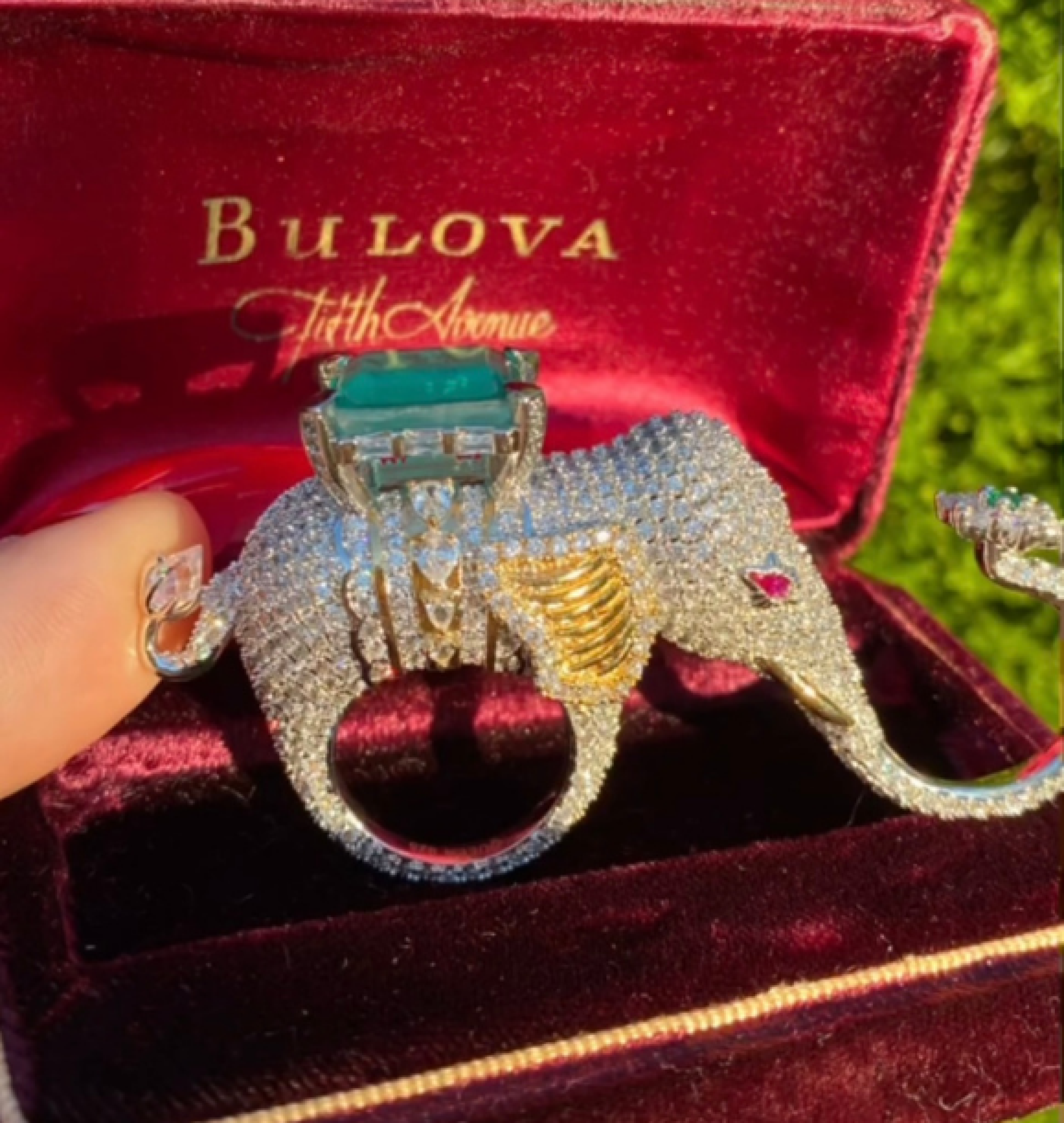 elephant ring