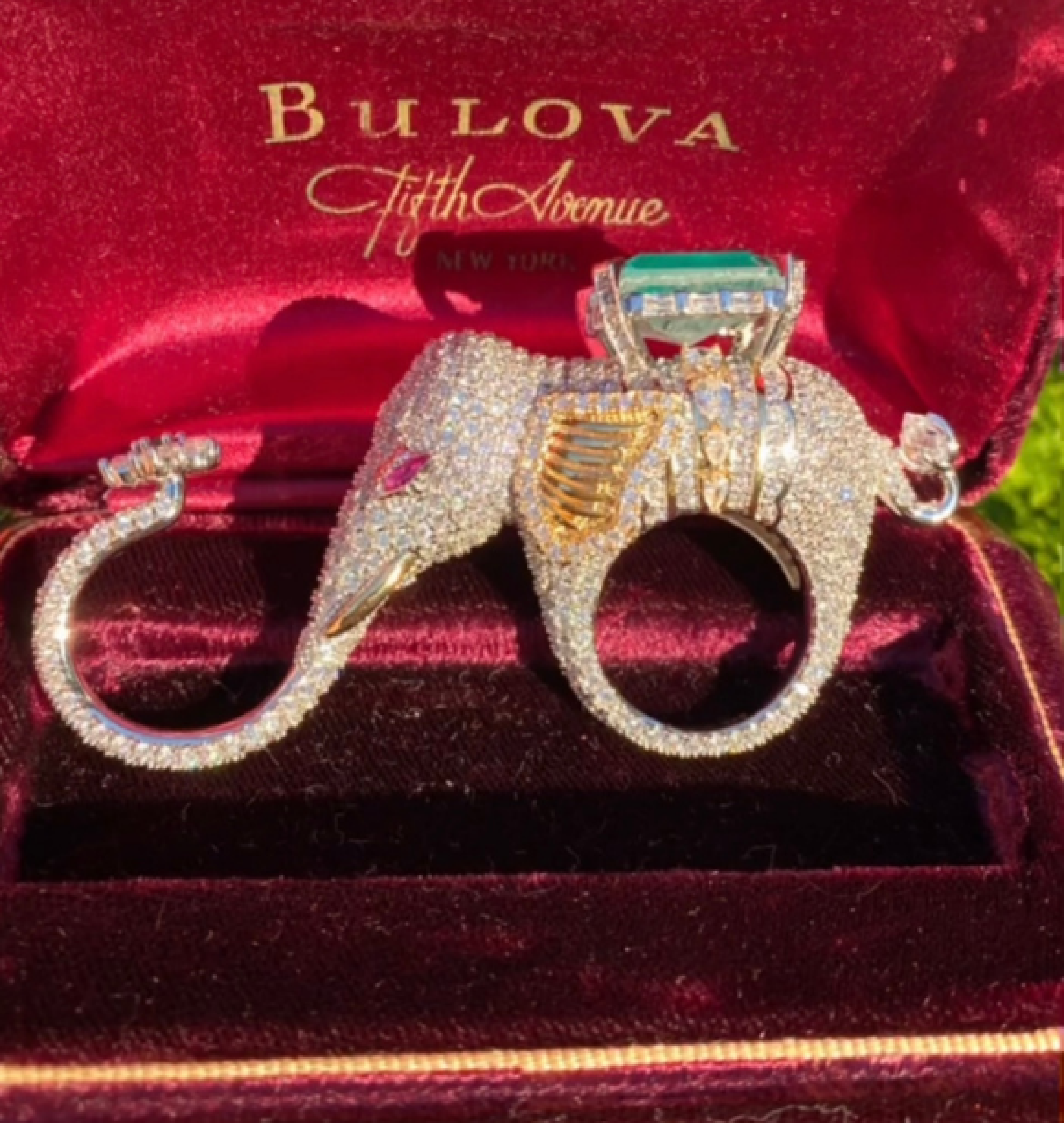 elephant ring