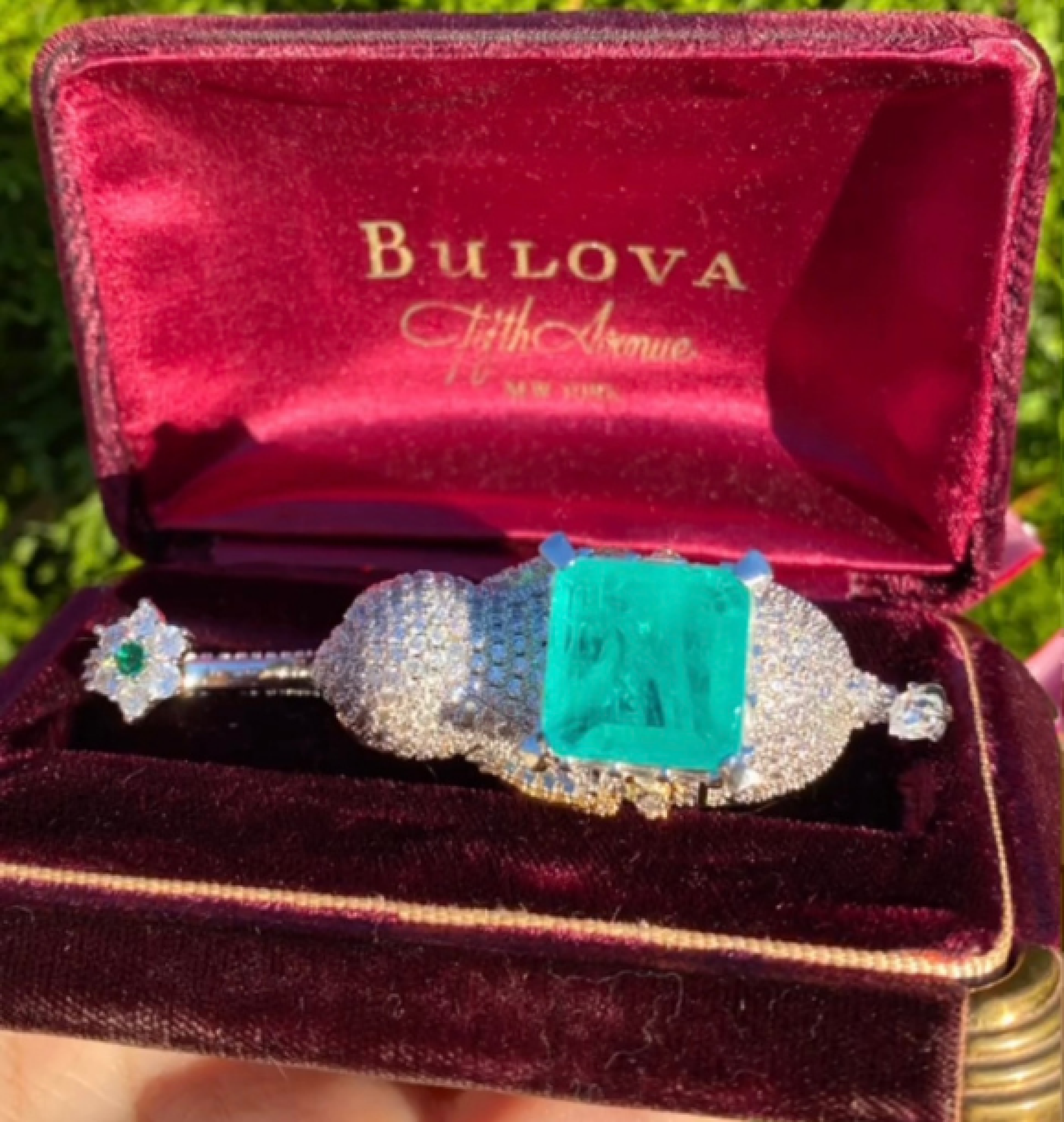 elephant ring