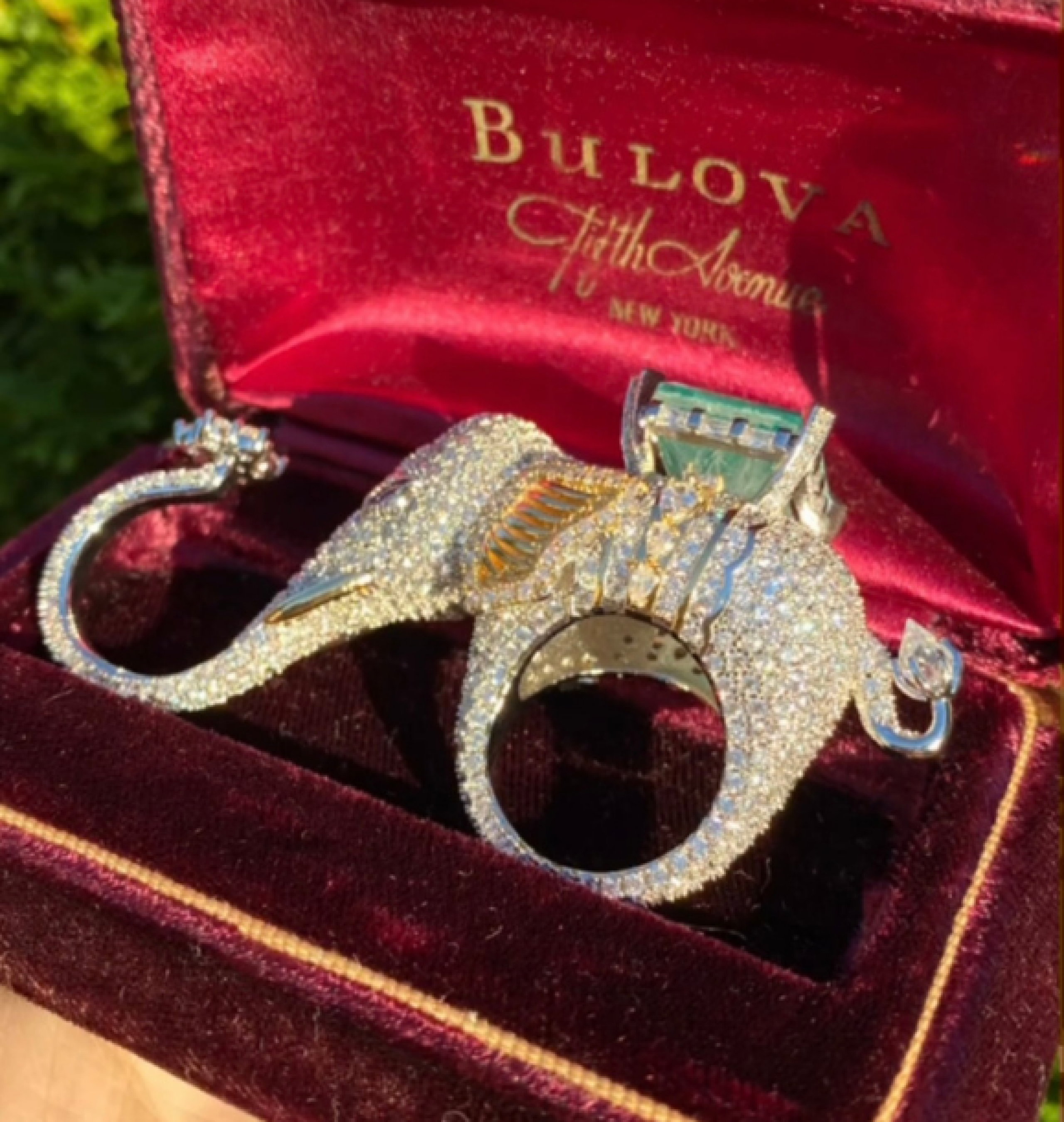 elephant ring