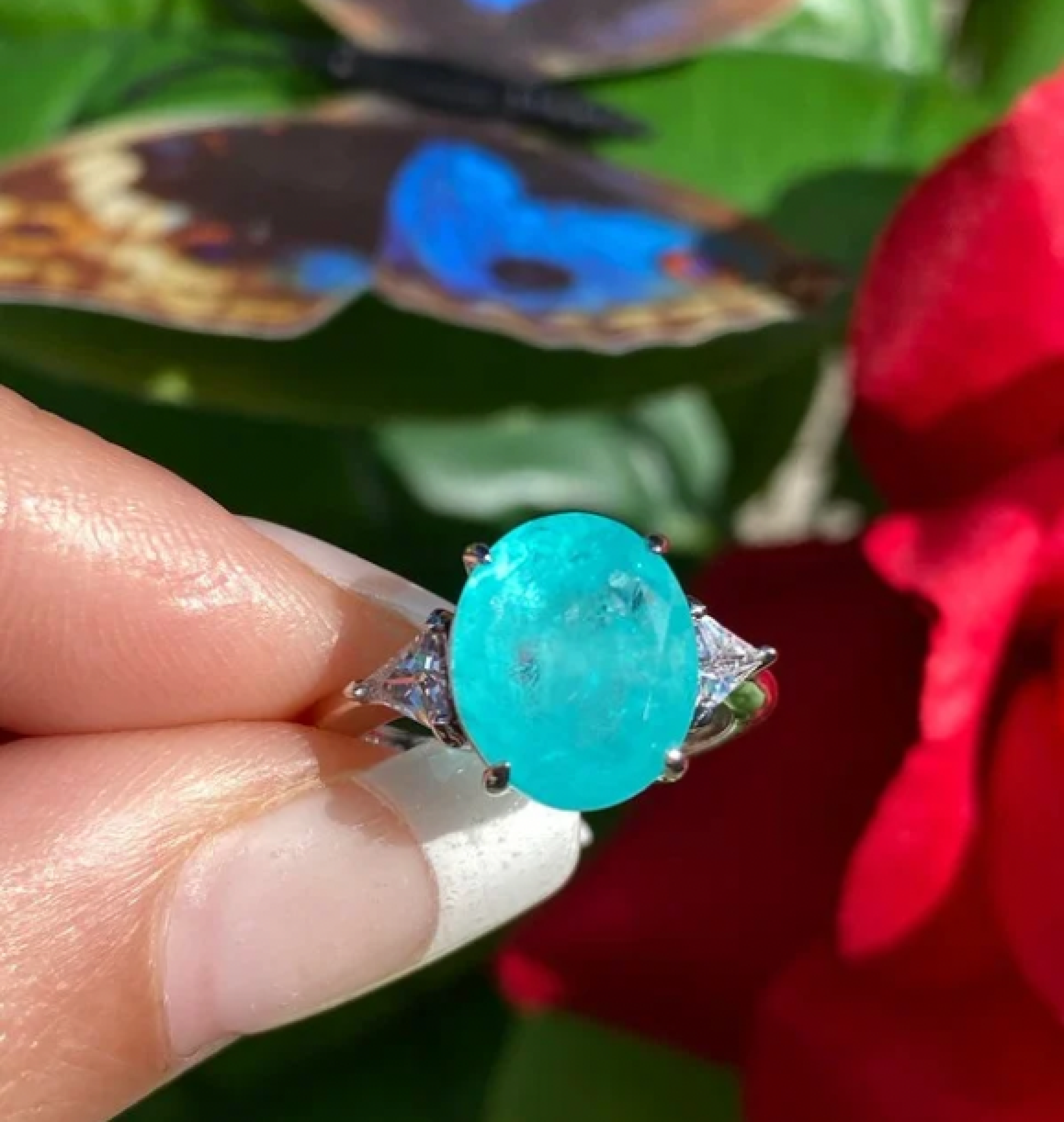 paraiba set