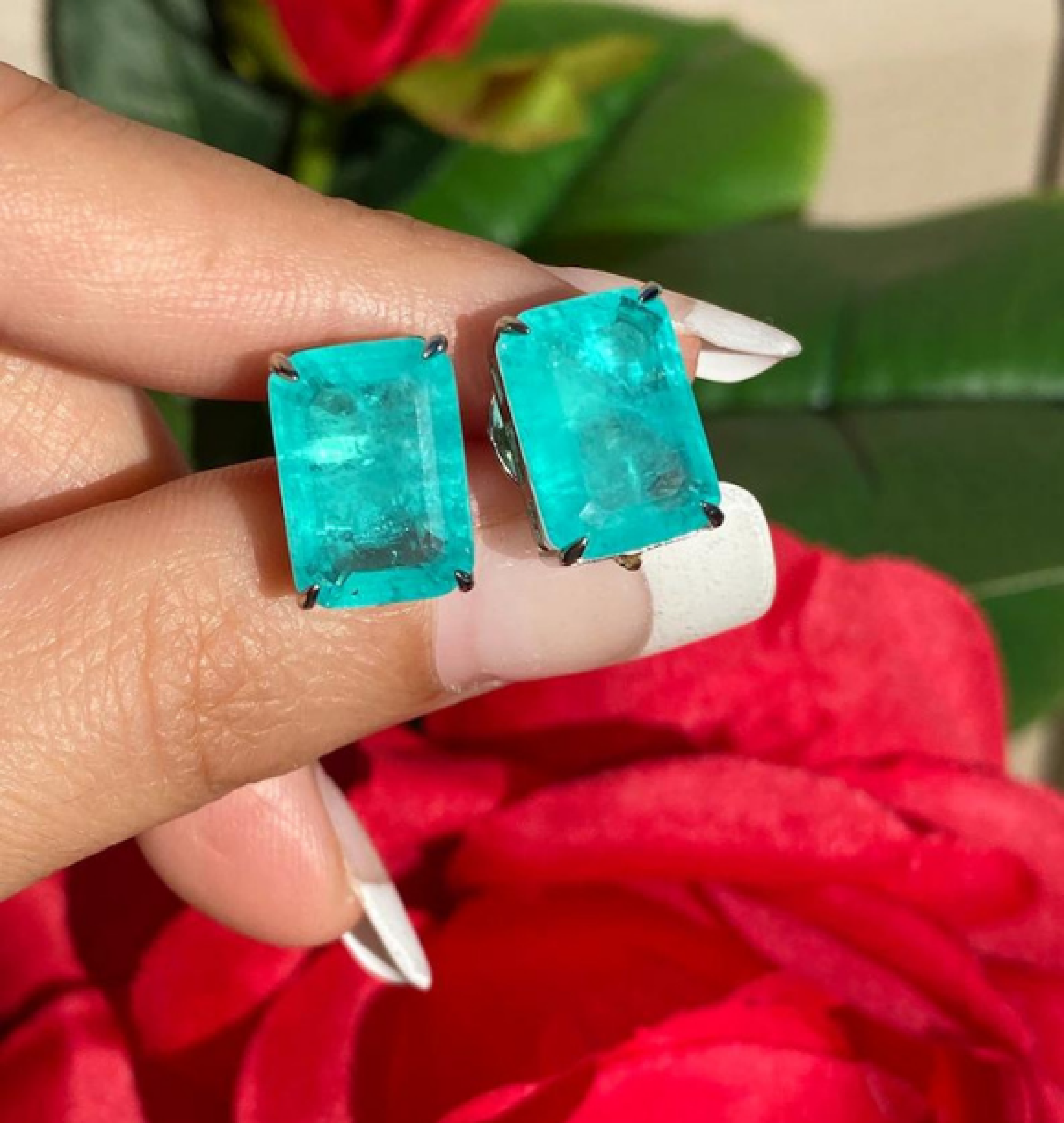exotic earrings