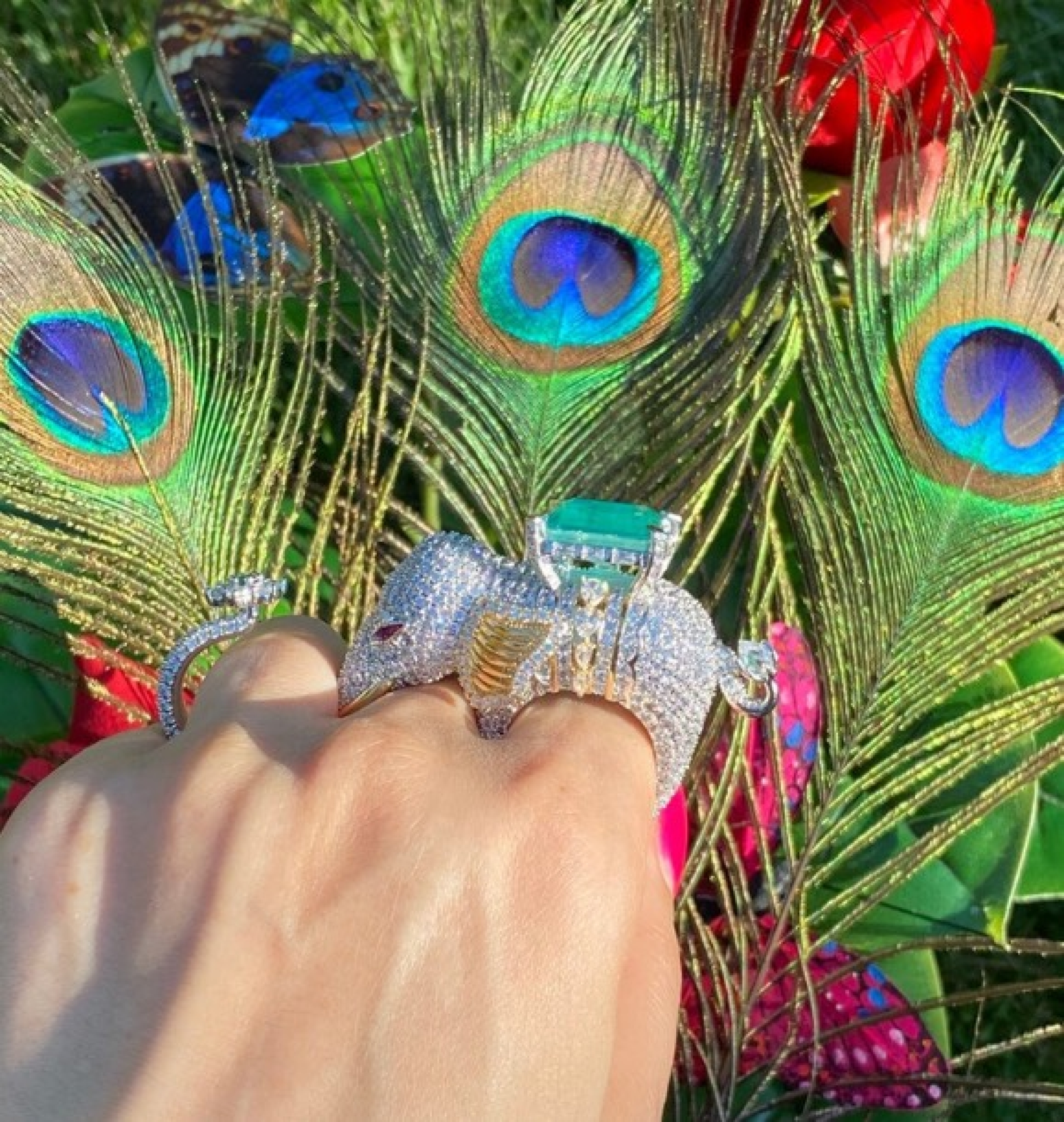 elephant ring