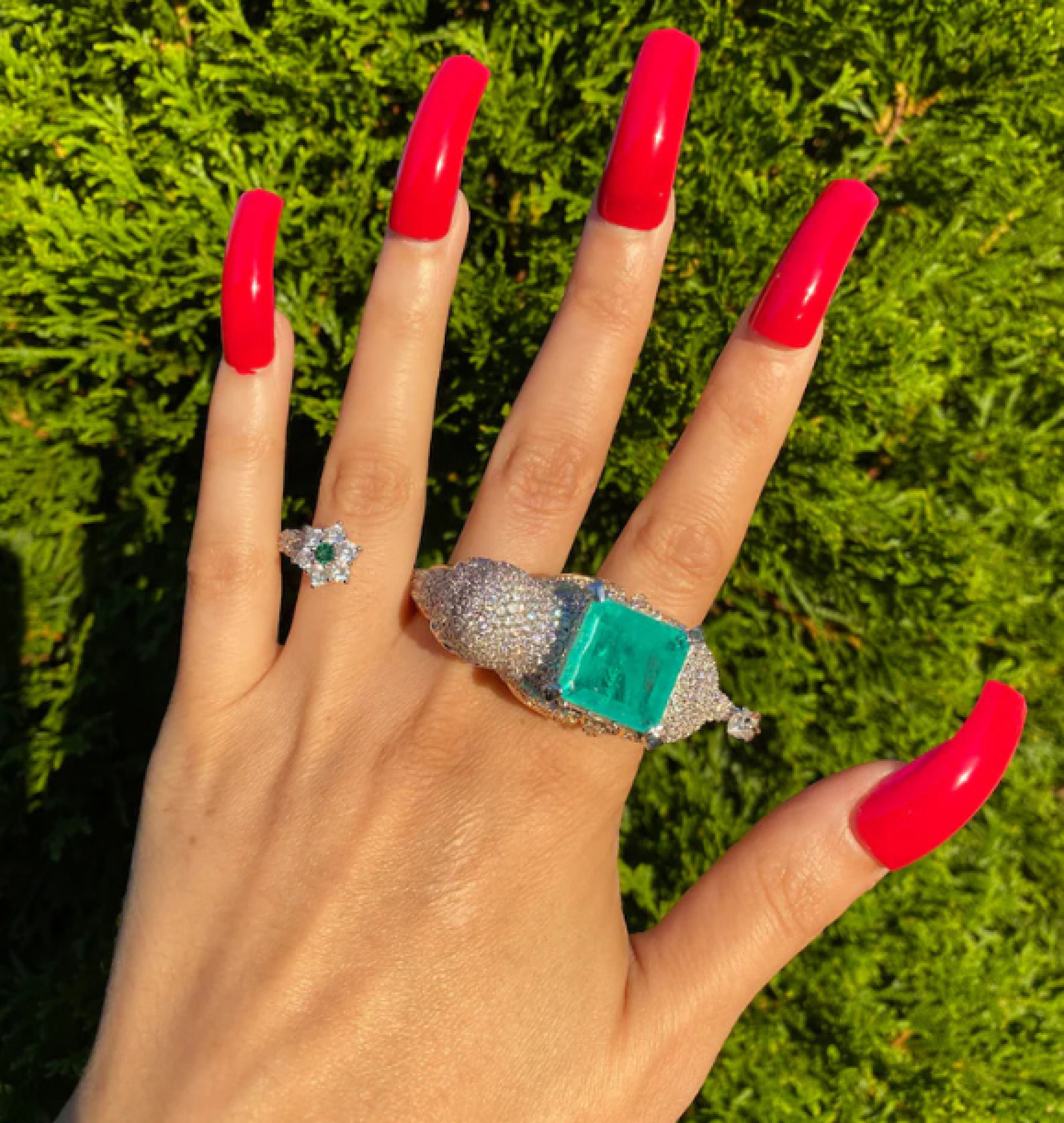 elephant ring