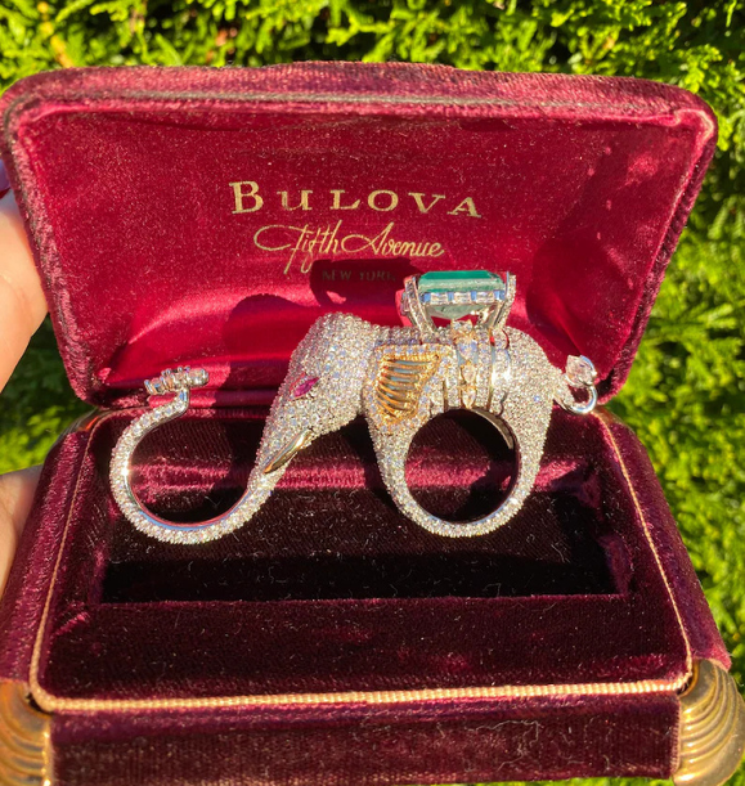 elephant ring