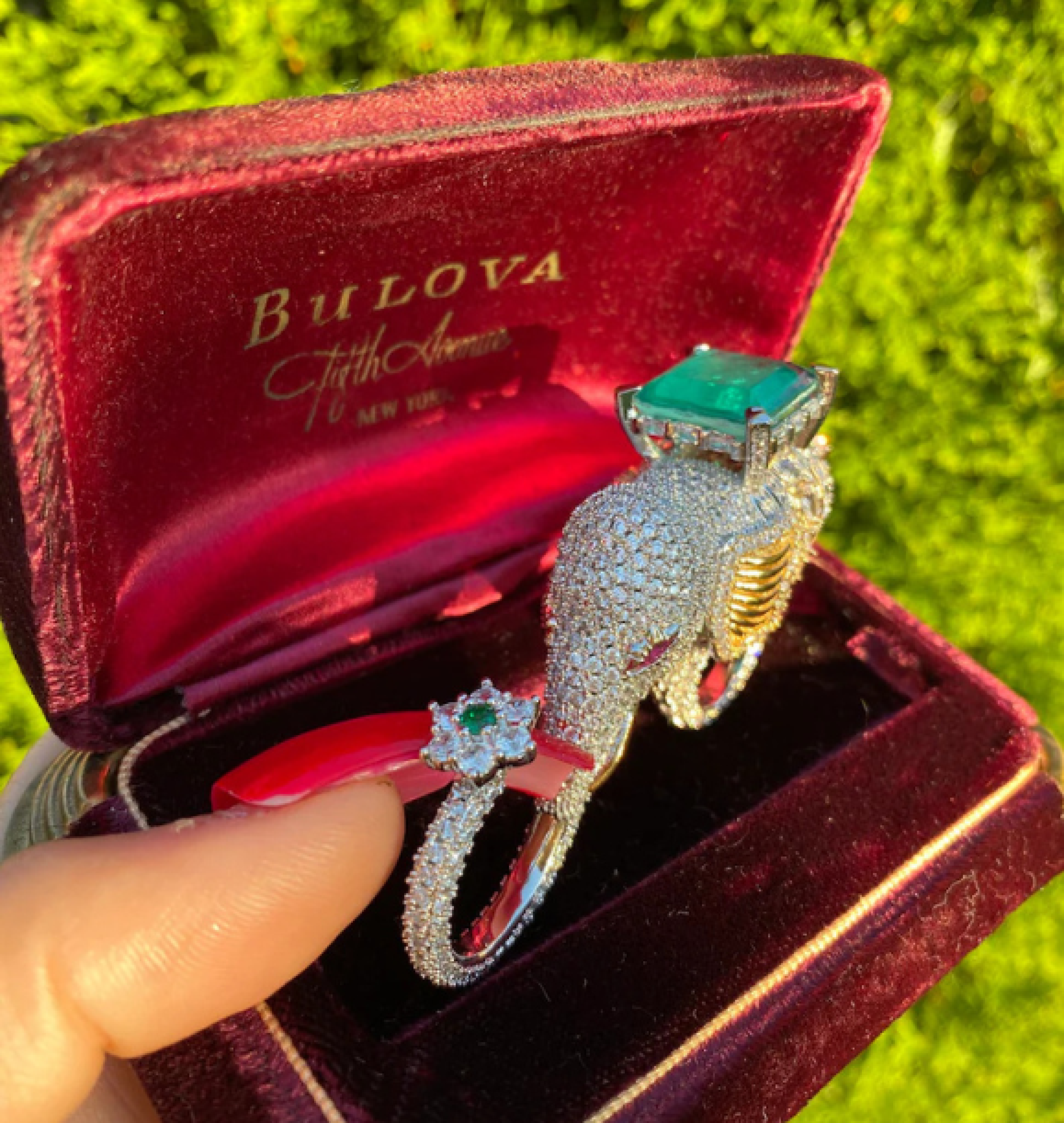 elephant ring