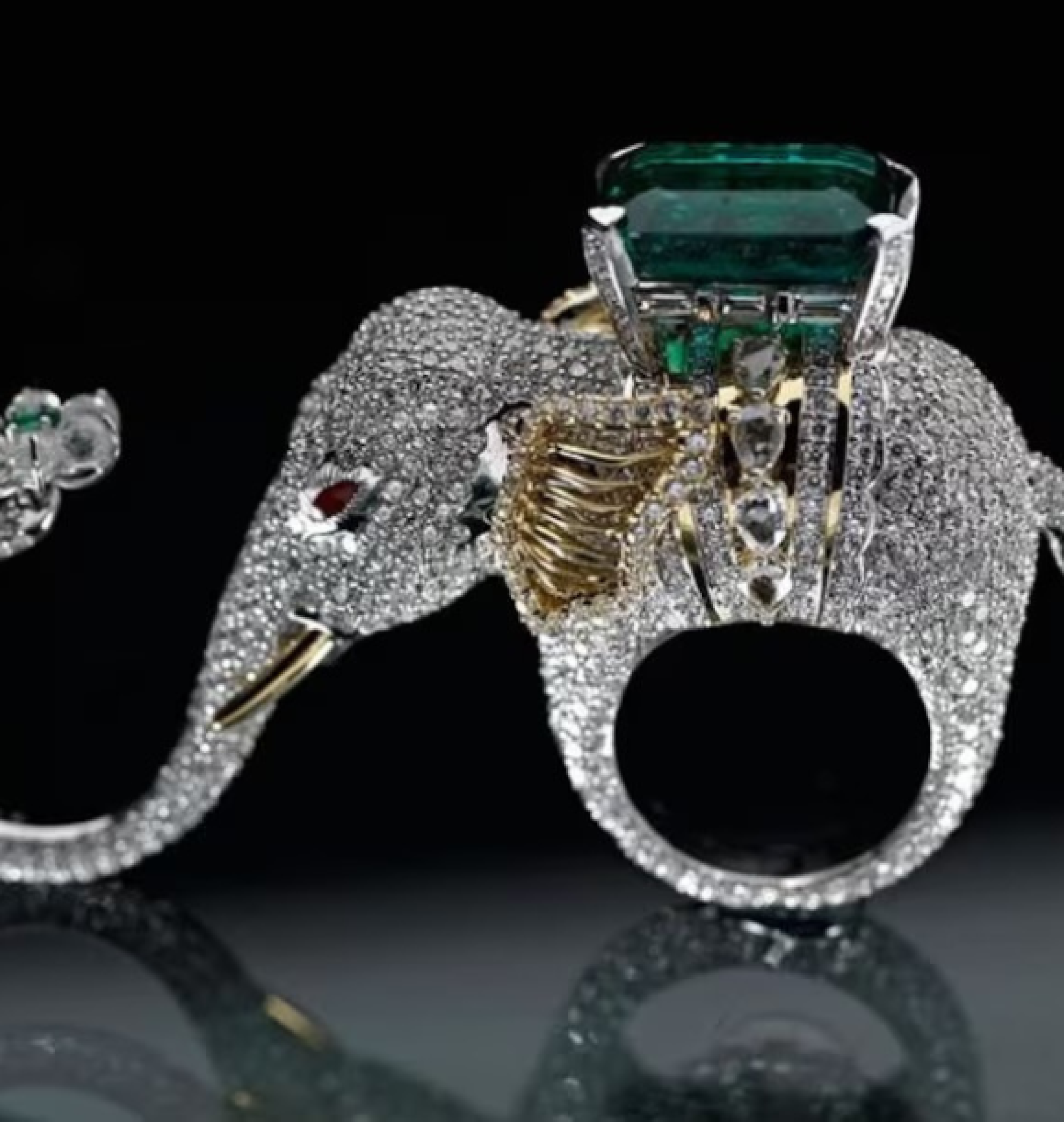 elephant ring