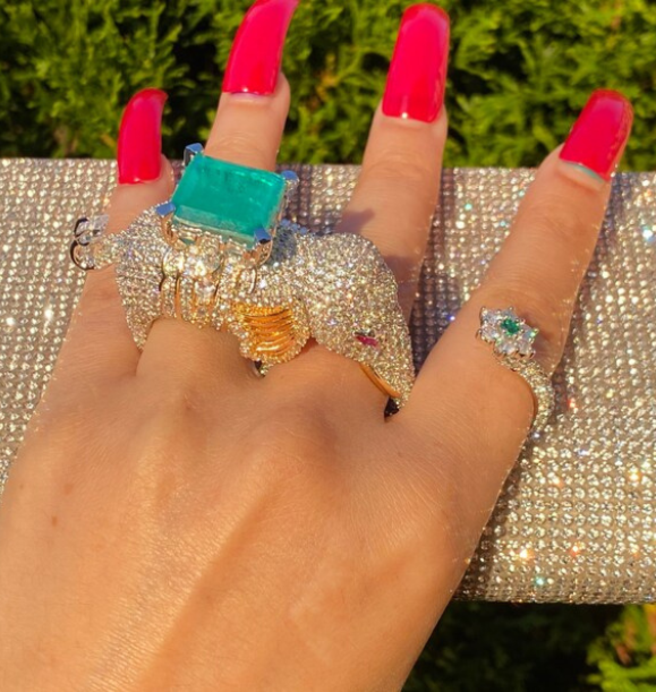 elephant ring