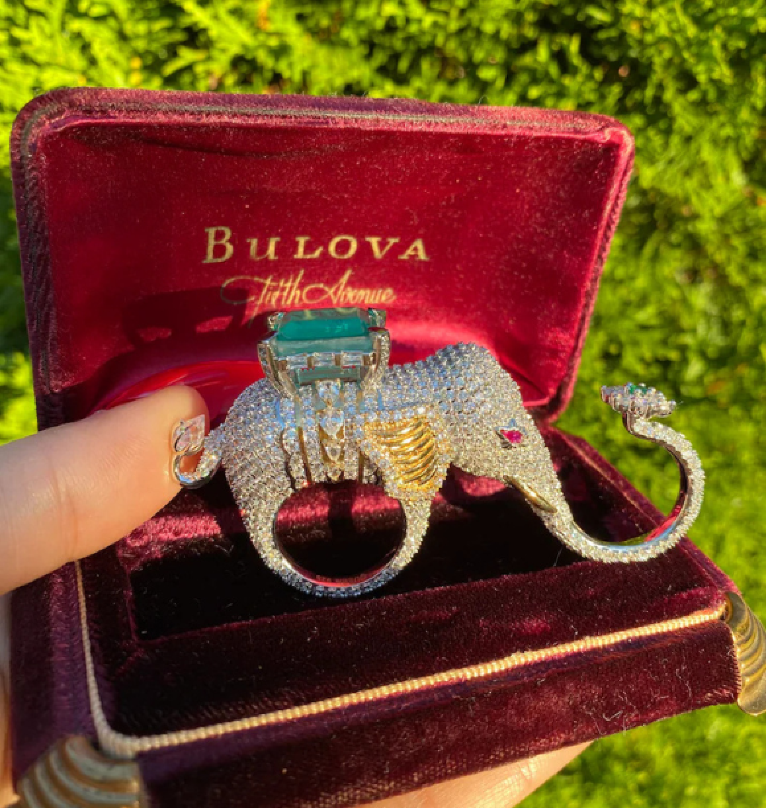 elephant ring