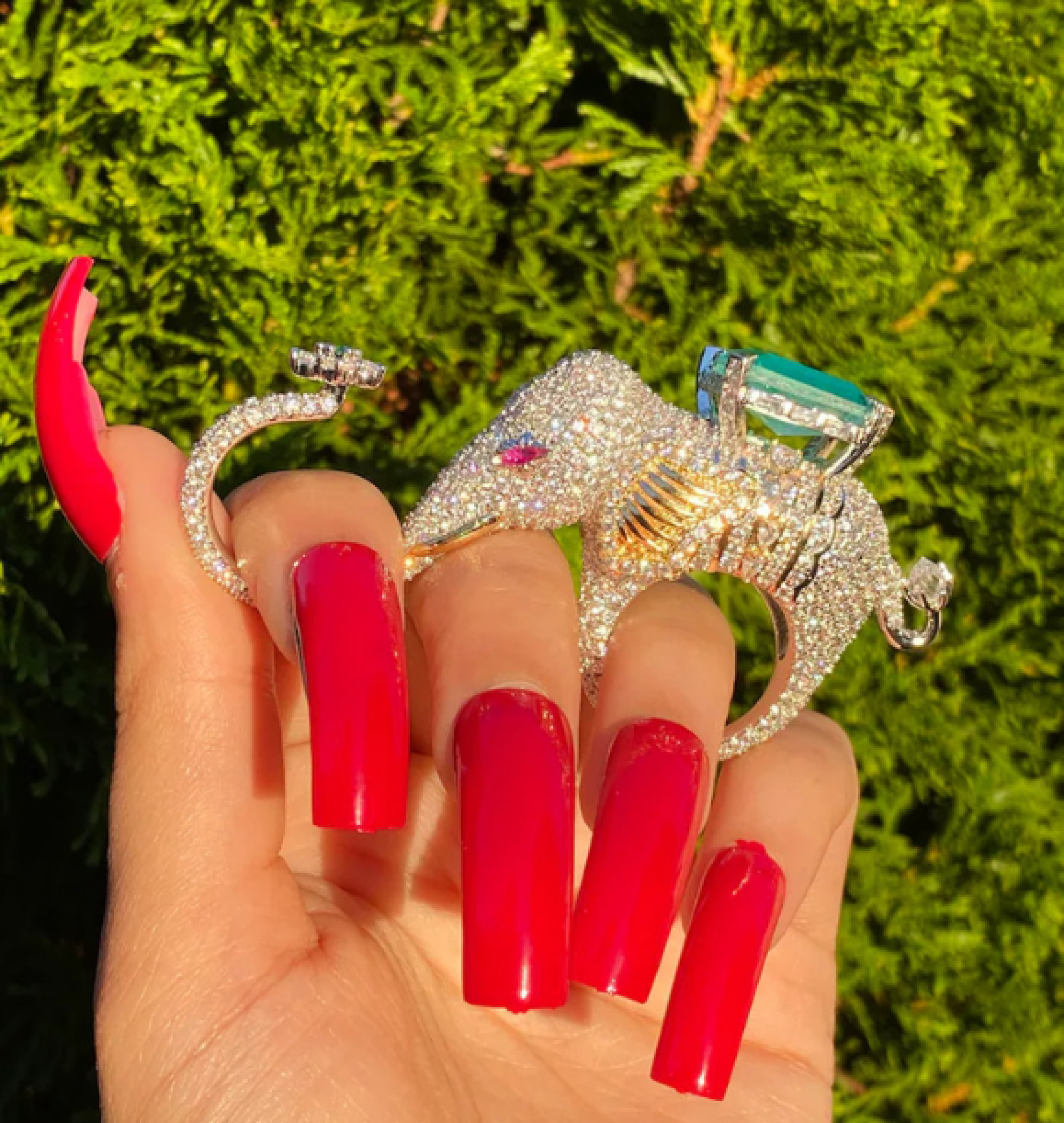 elephant ring