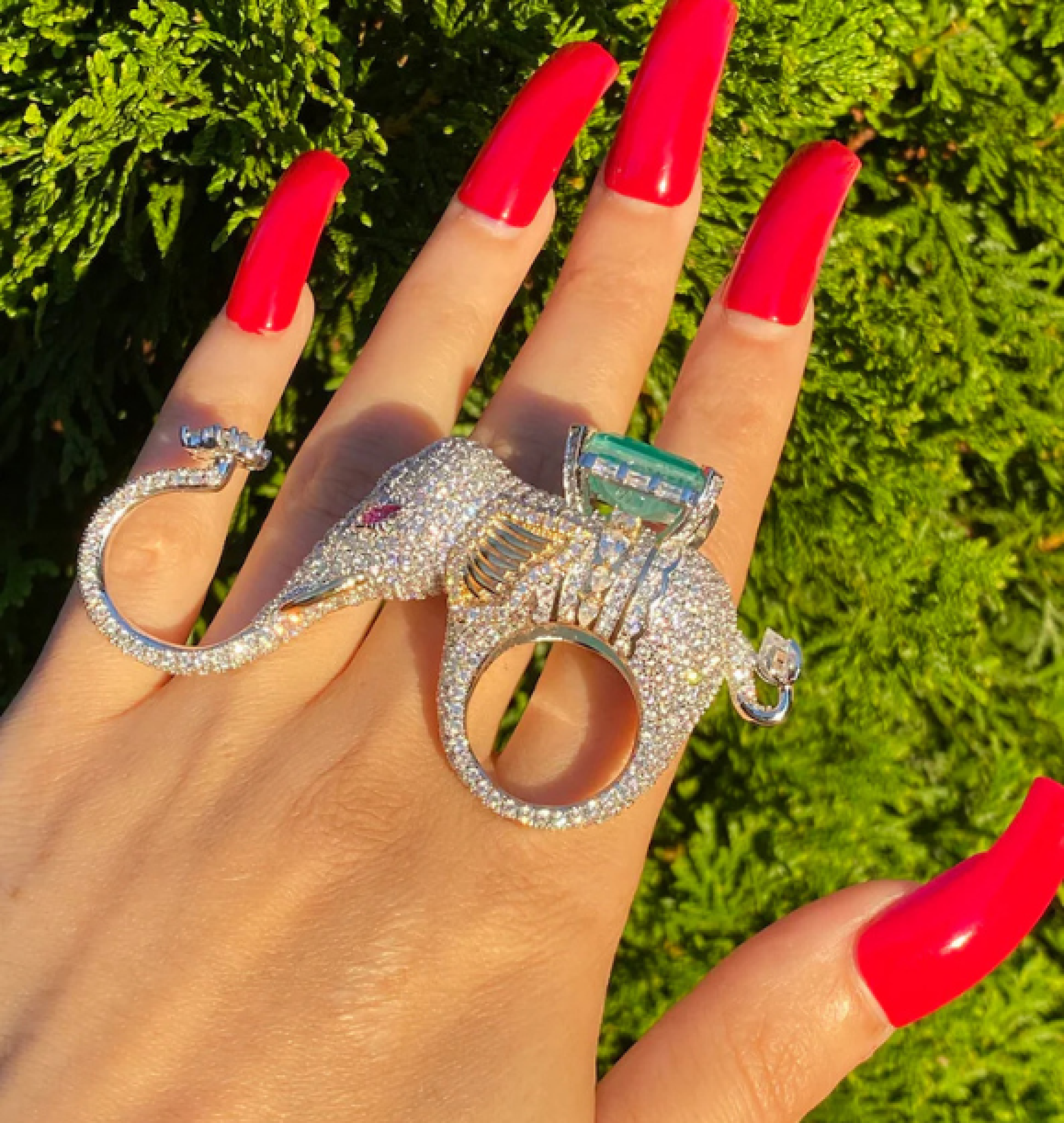 elephant ring