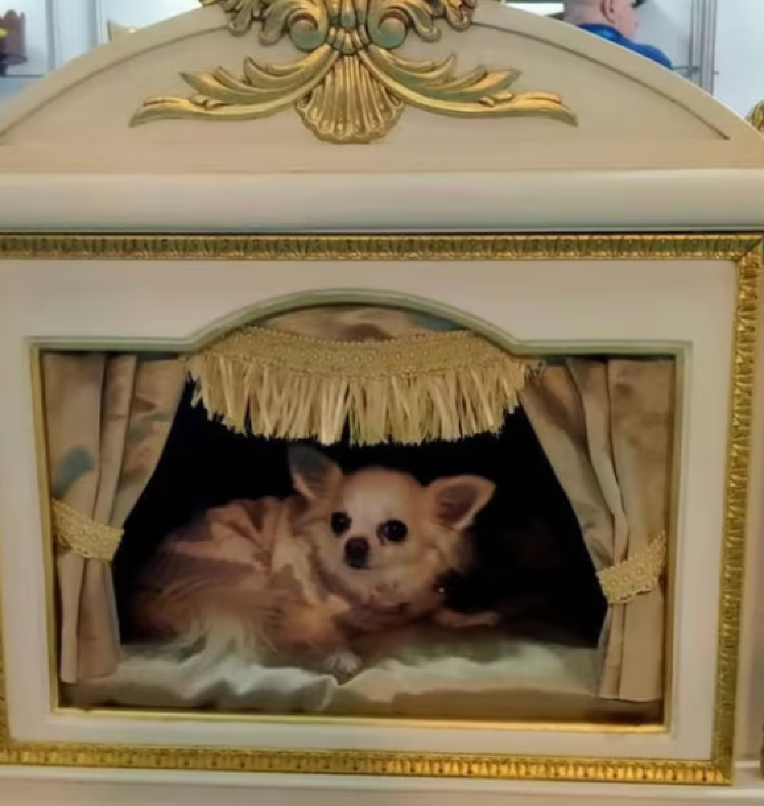 french pethouse