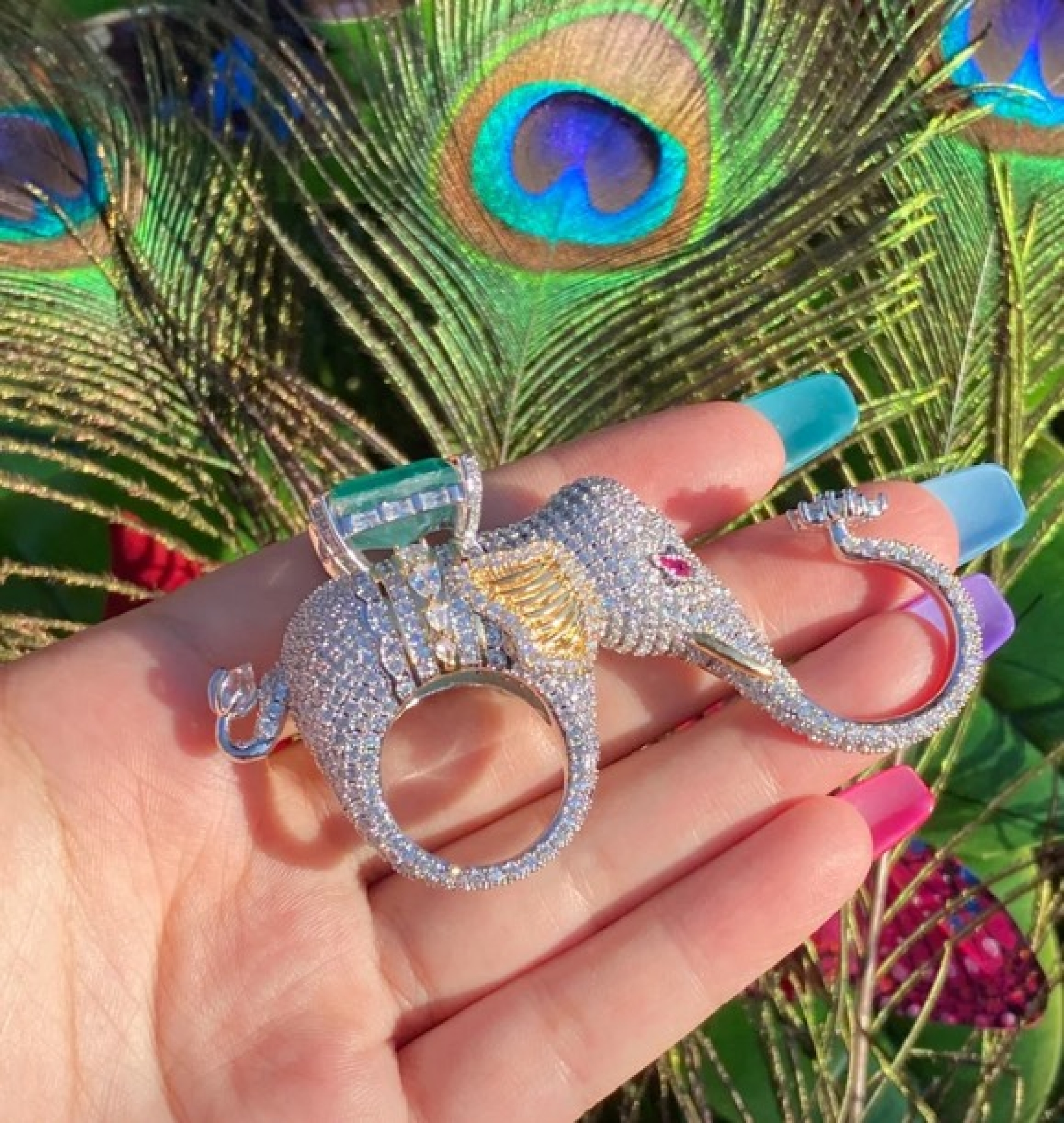 elephant ring