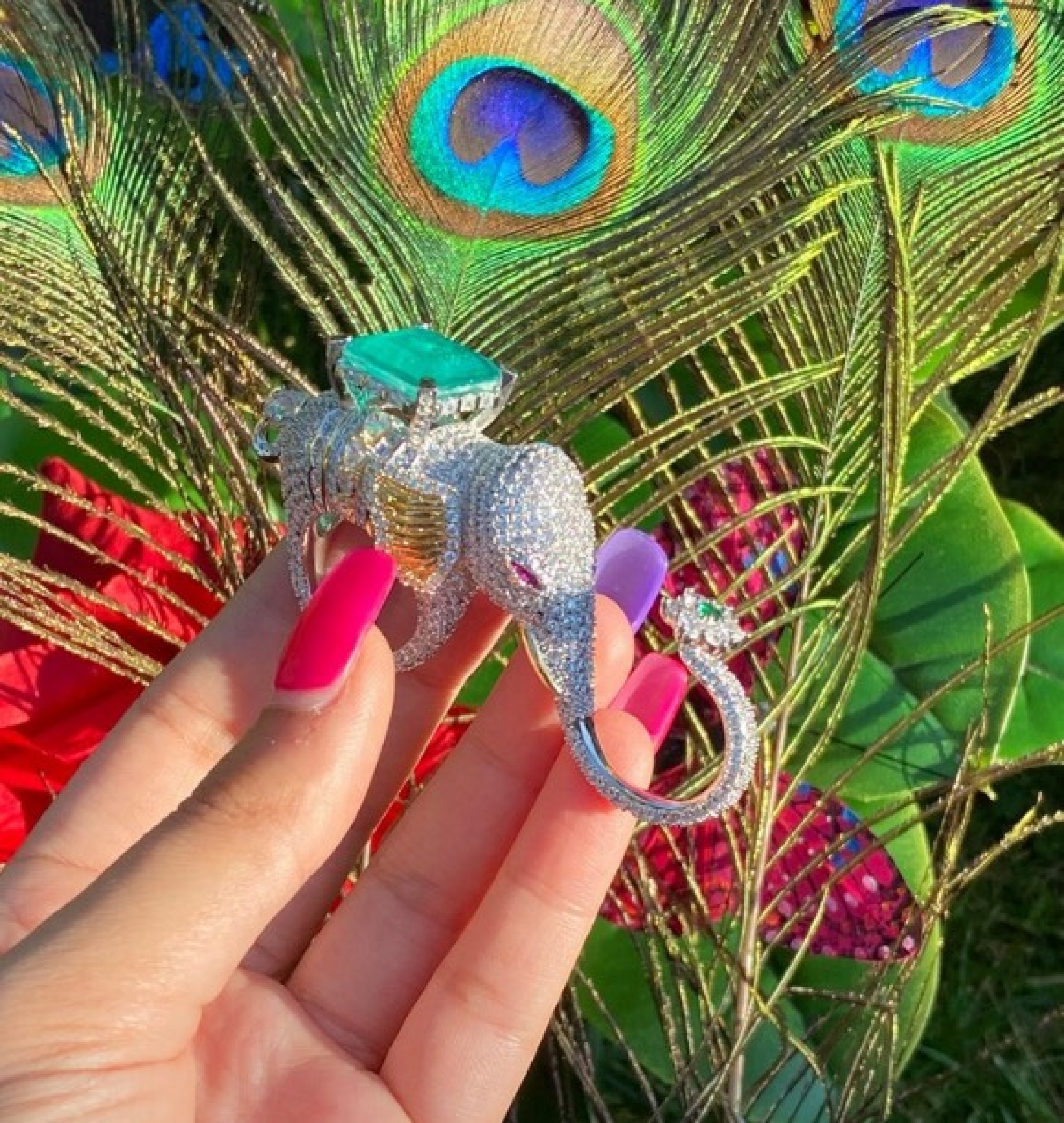elephant ring