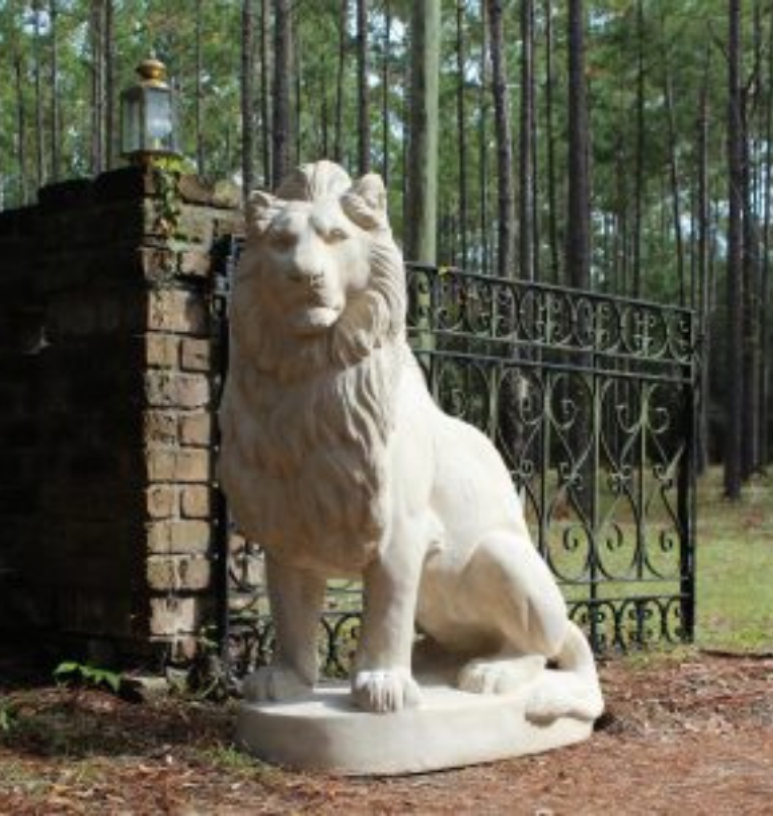 lion statues