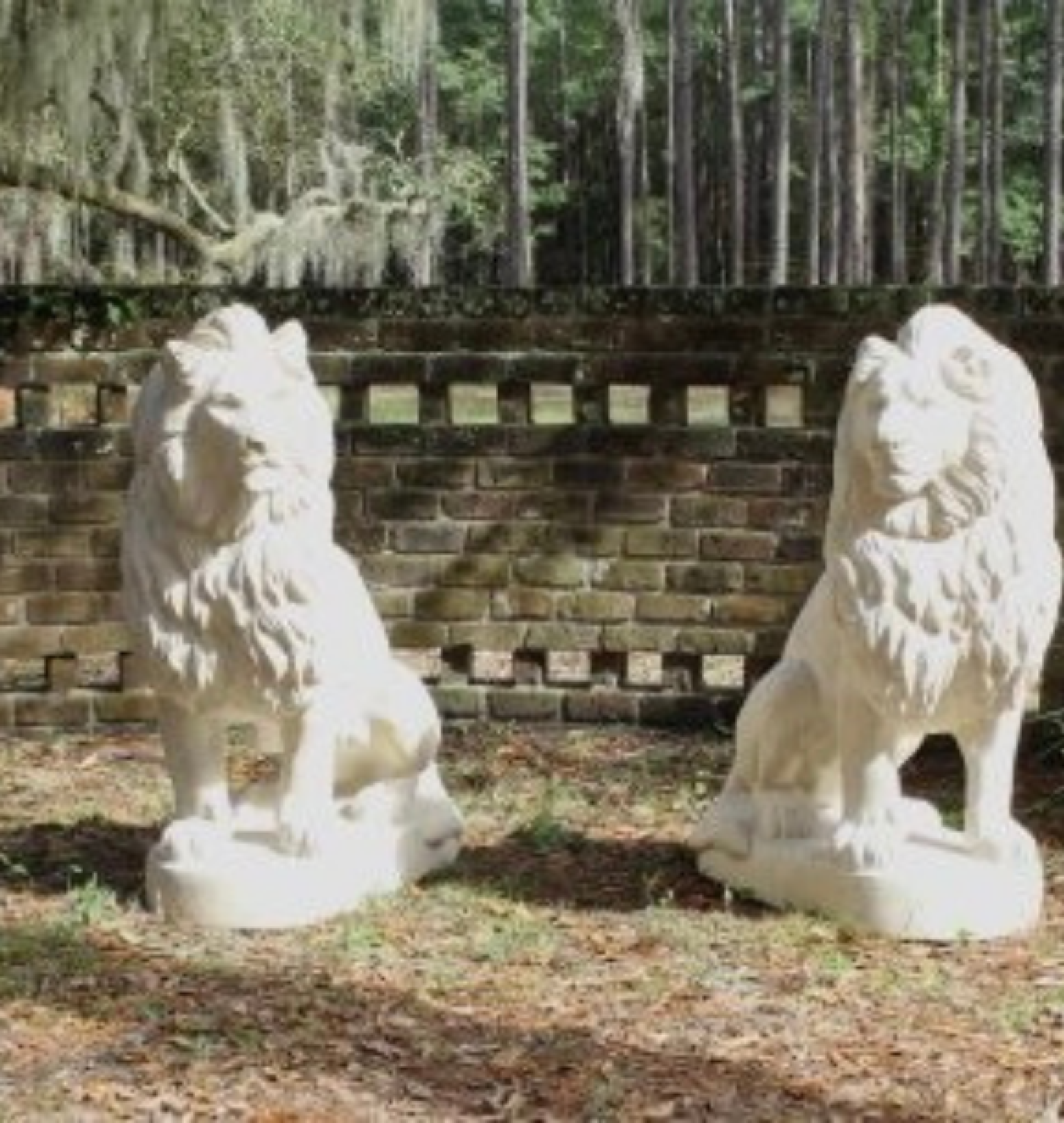 lion statues