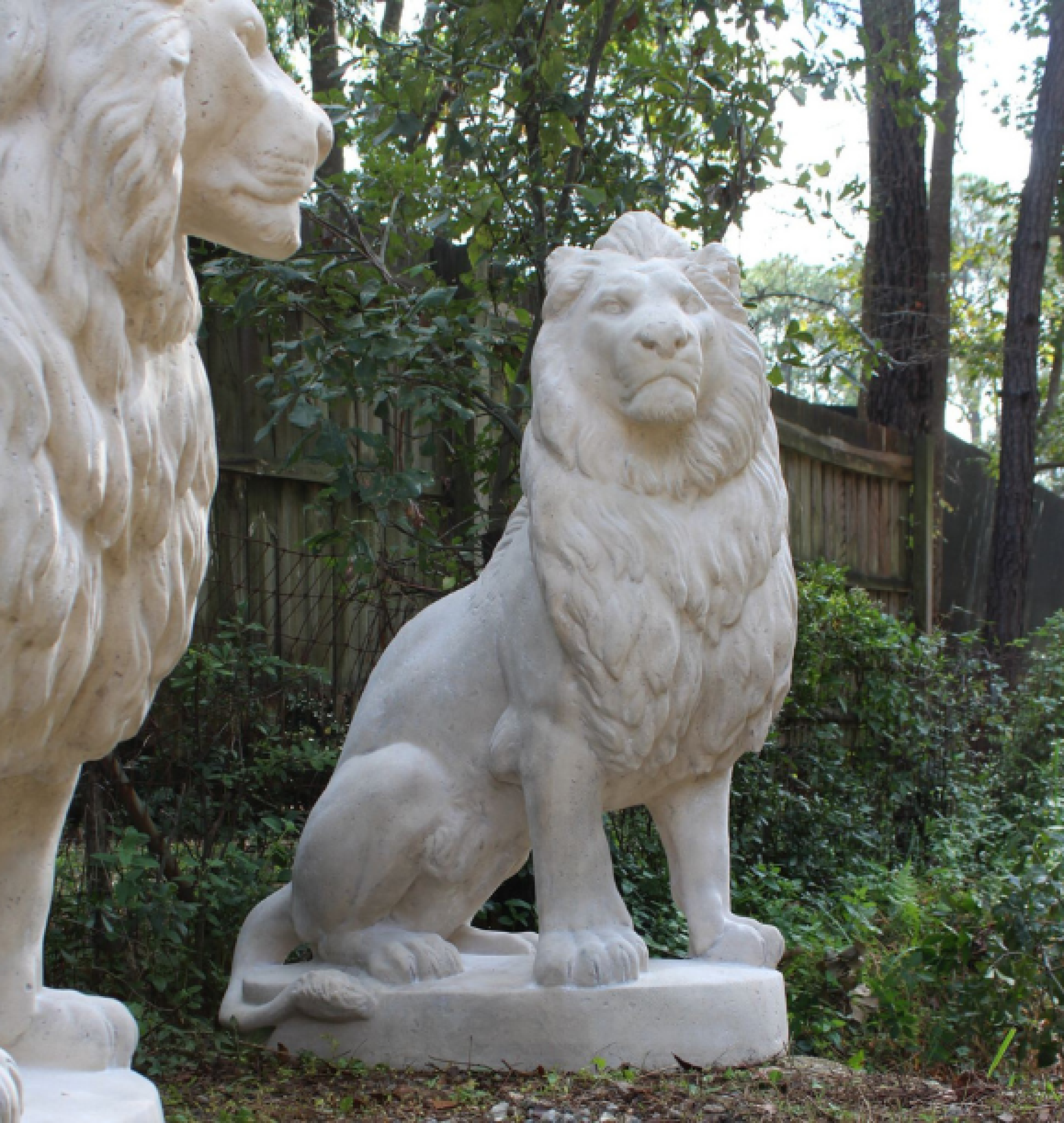 lion statues