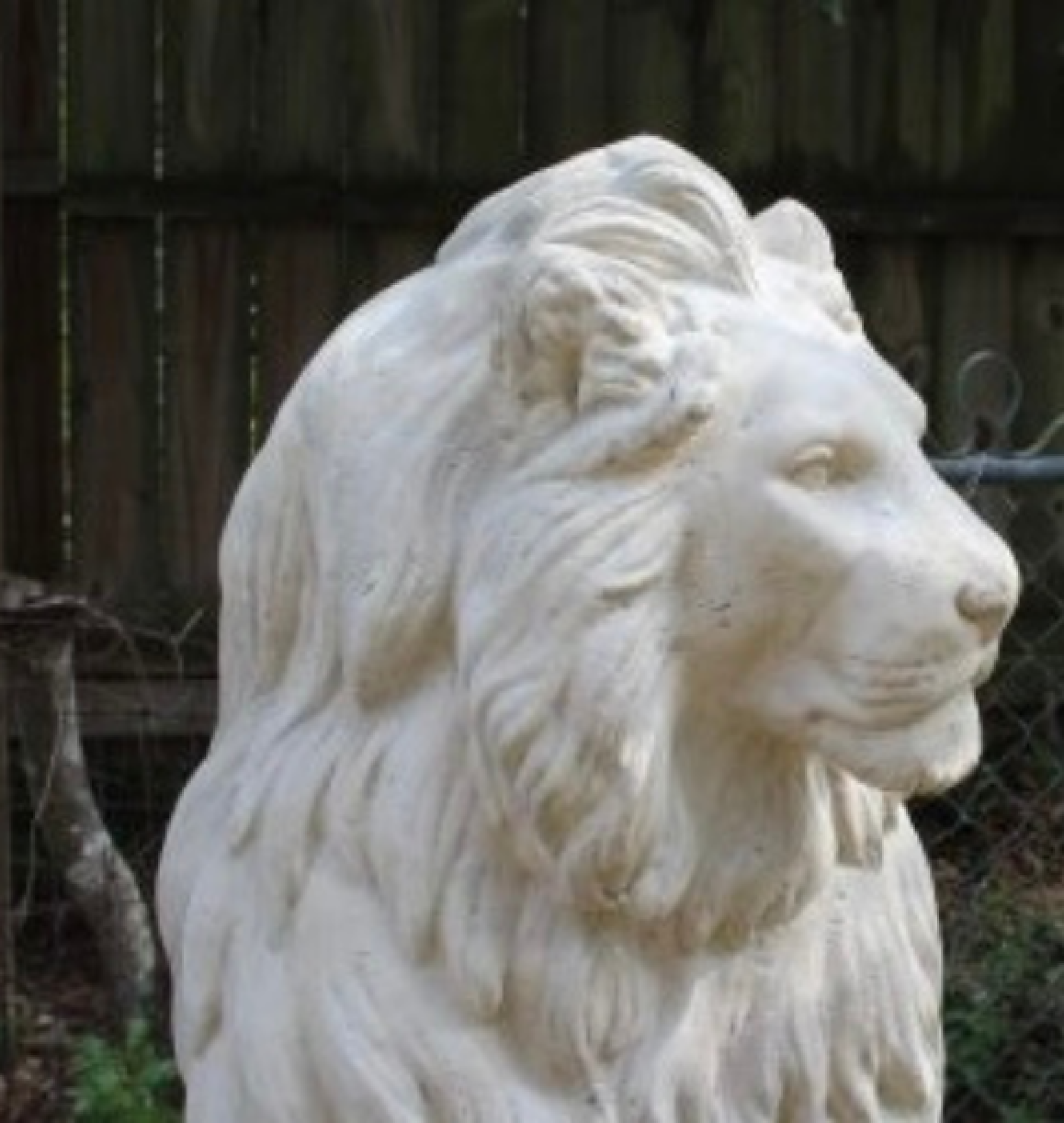 lion statues