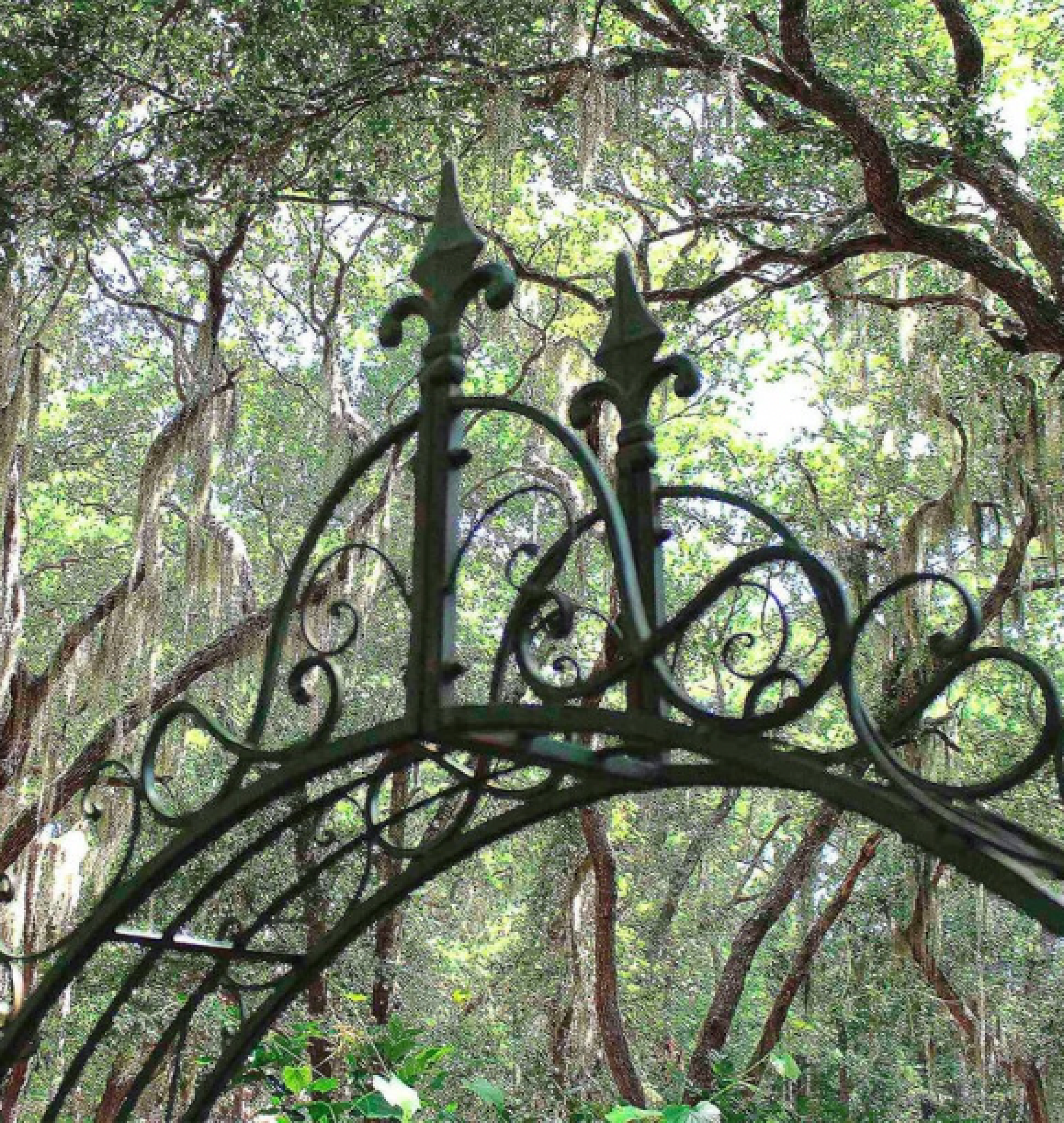 garden gate