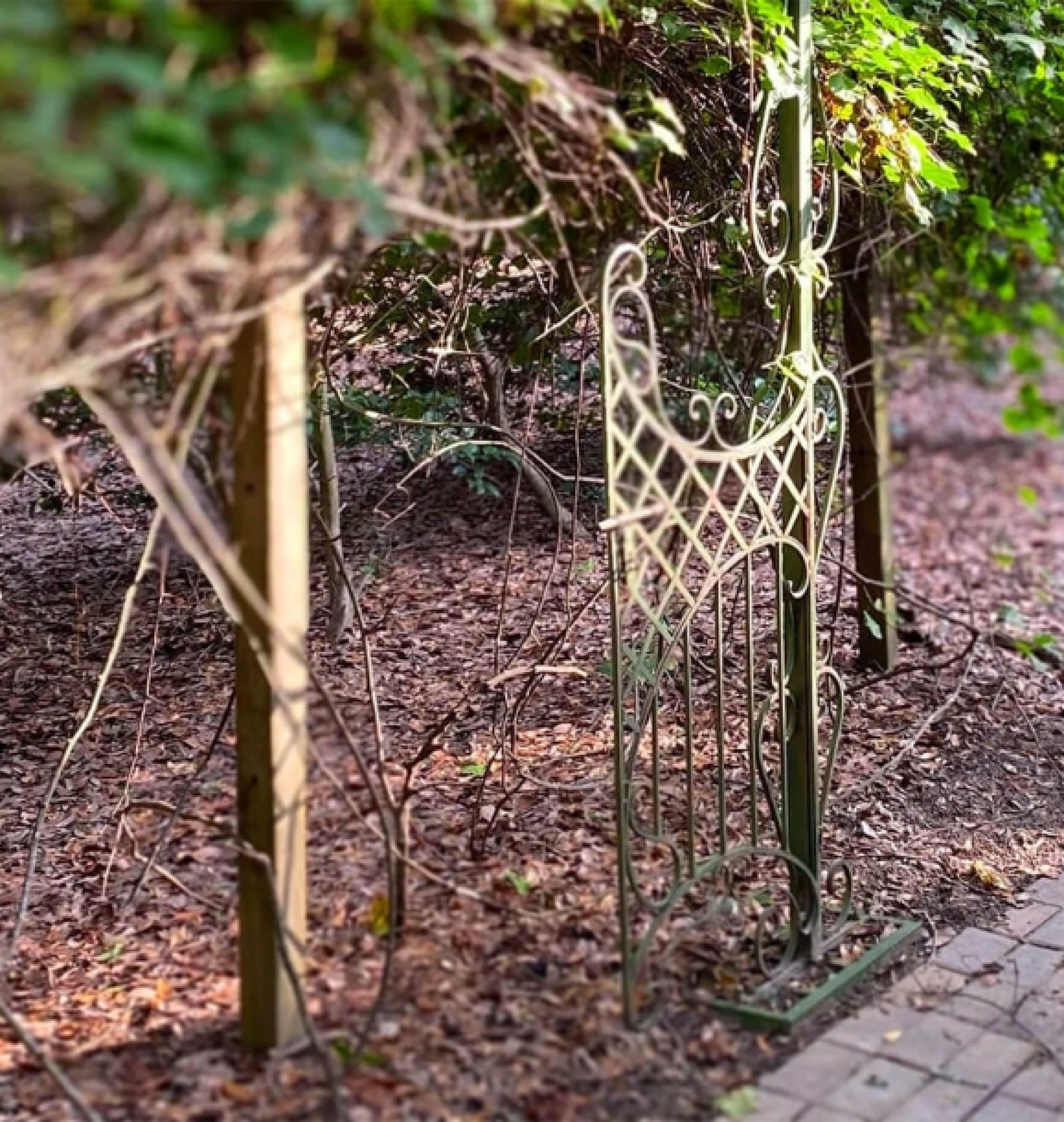 garden gate