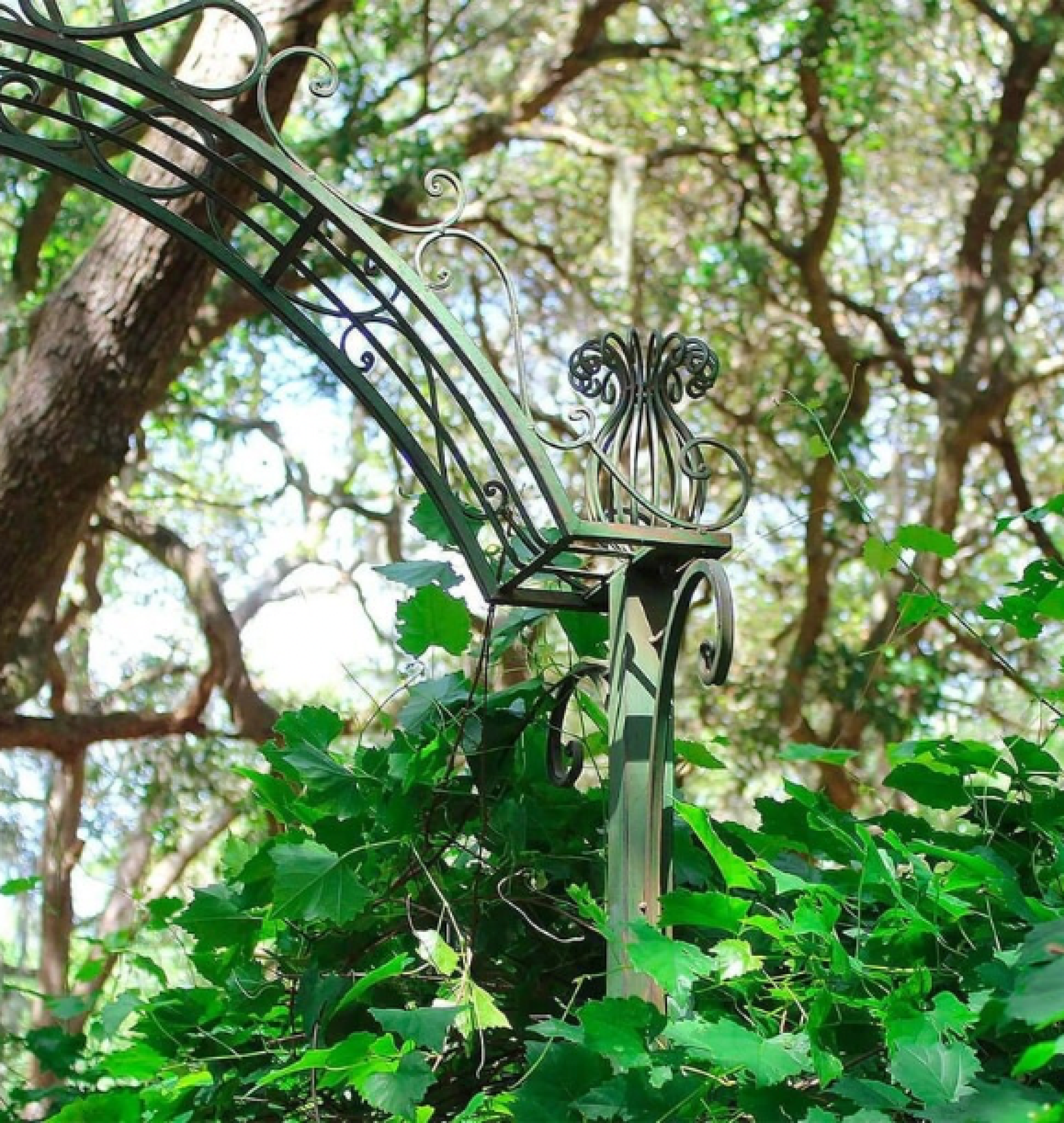 garden gate