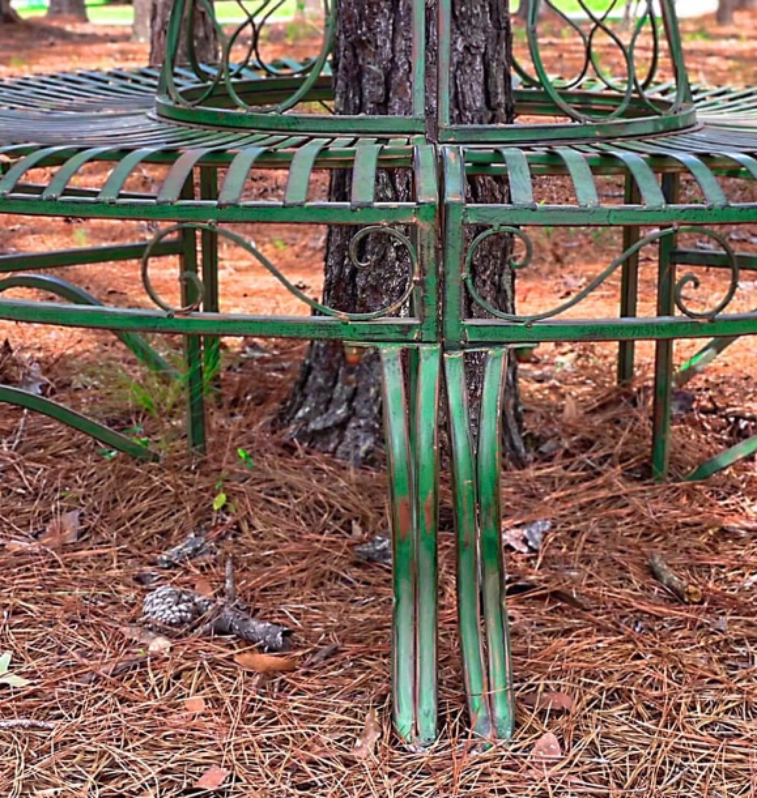 tree bench