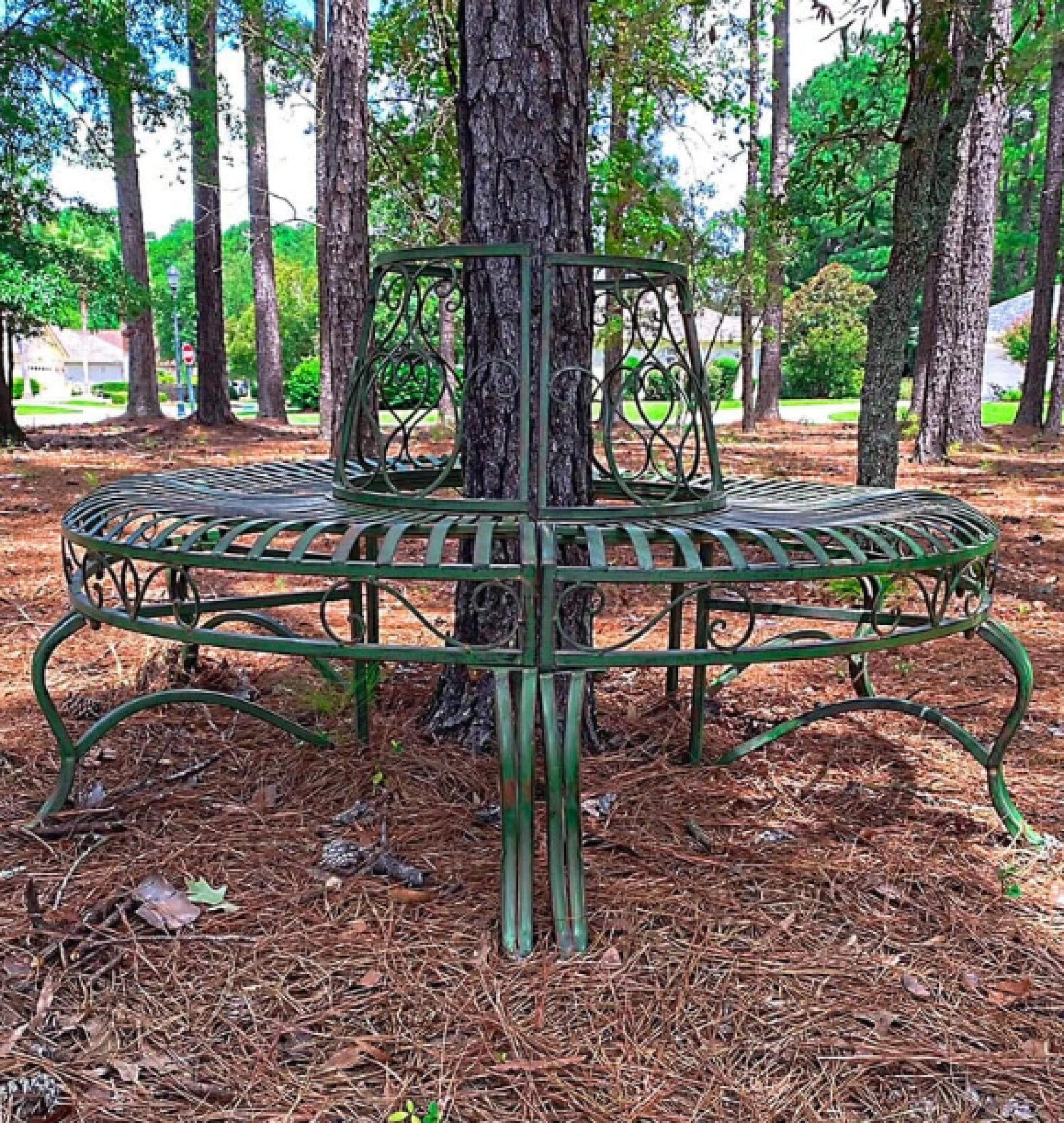 tree bench