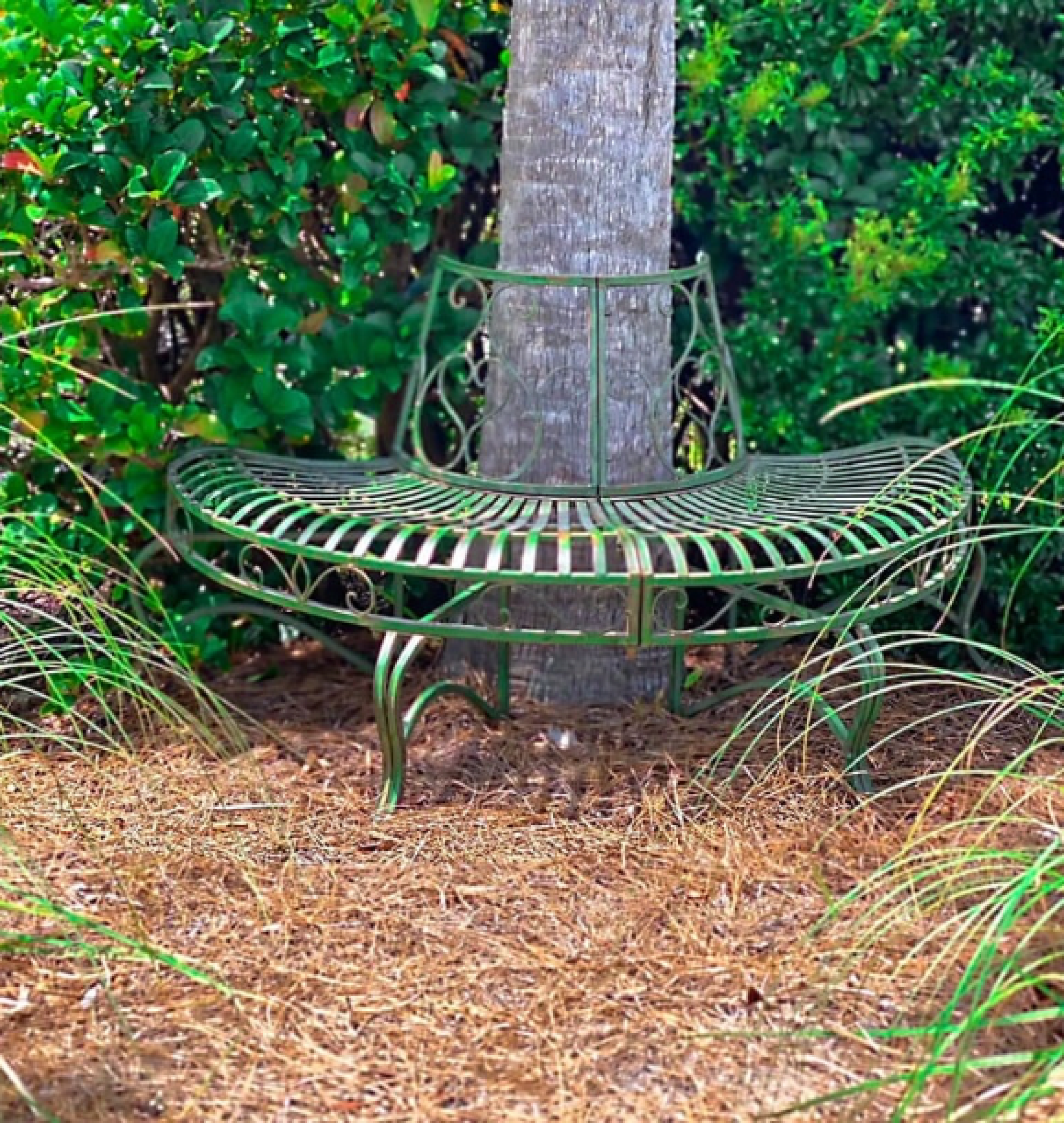 tree bench