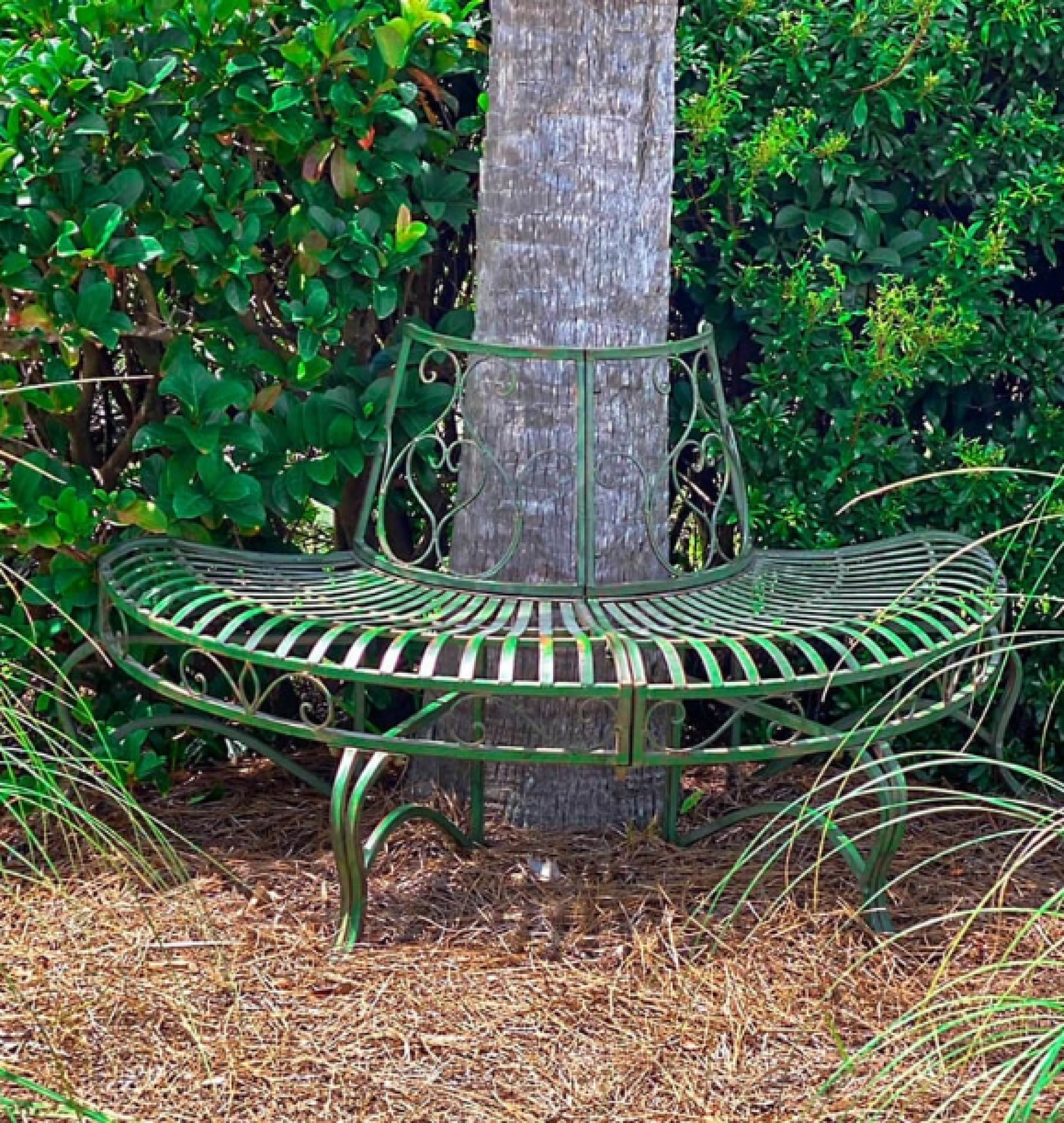 tree bench