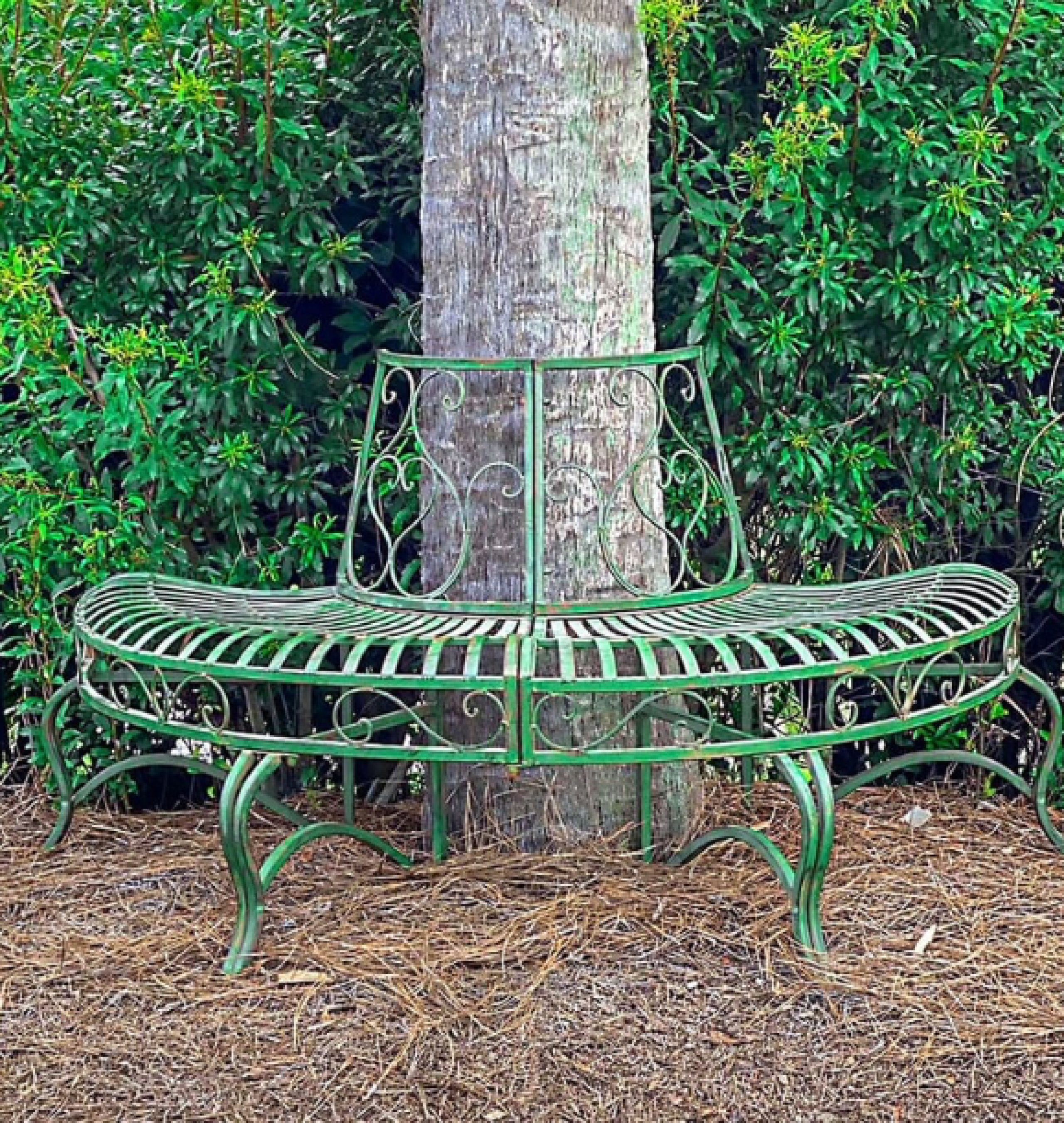 tree bench