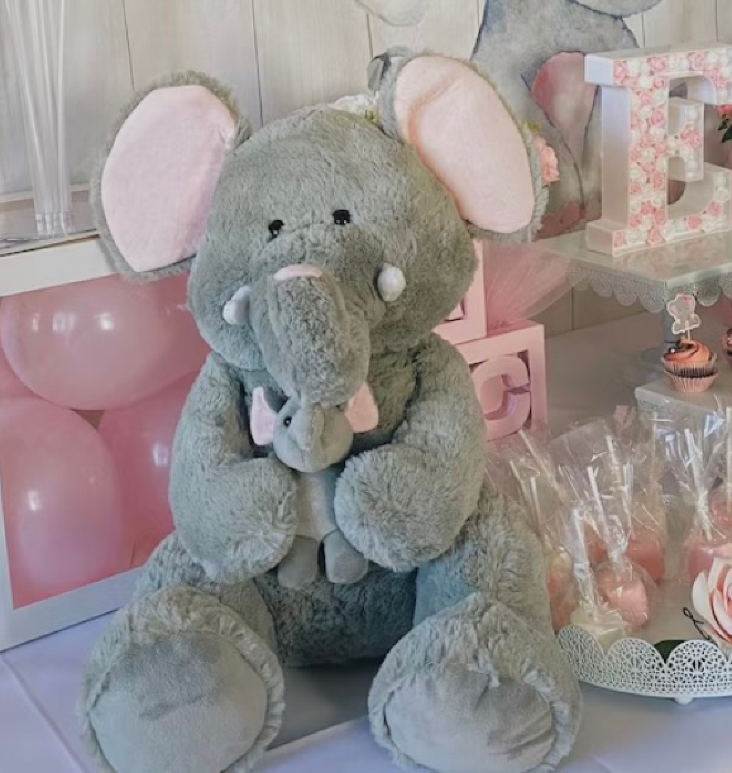 elephant shower