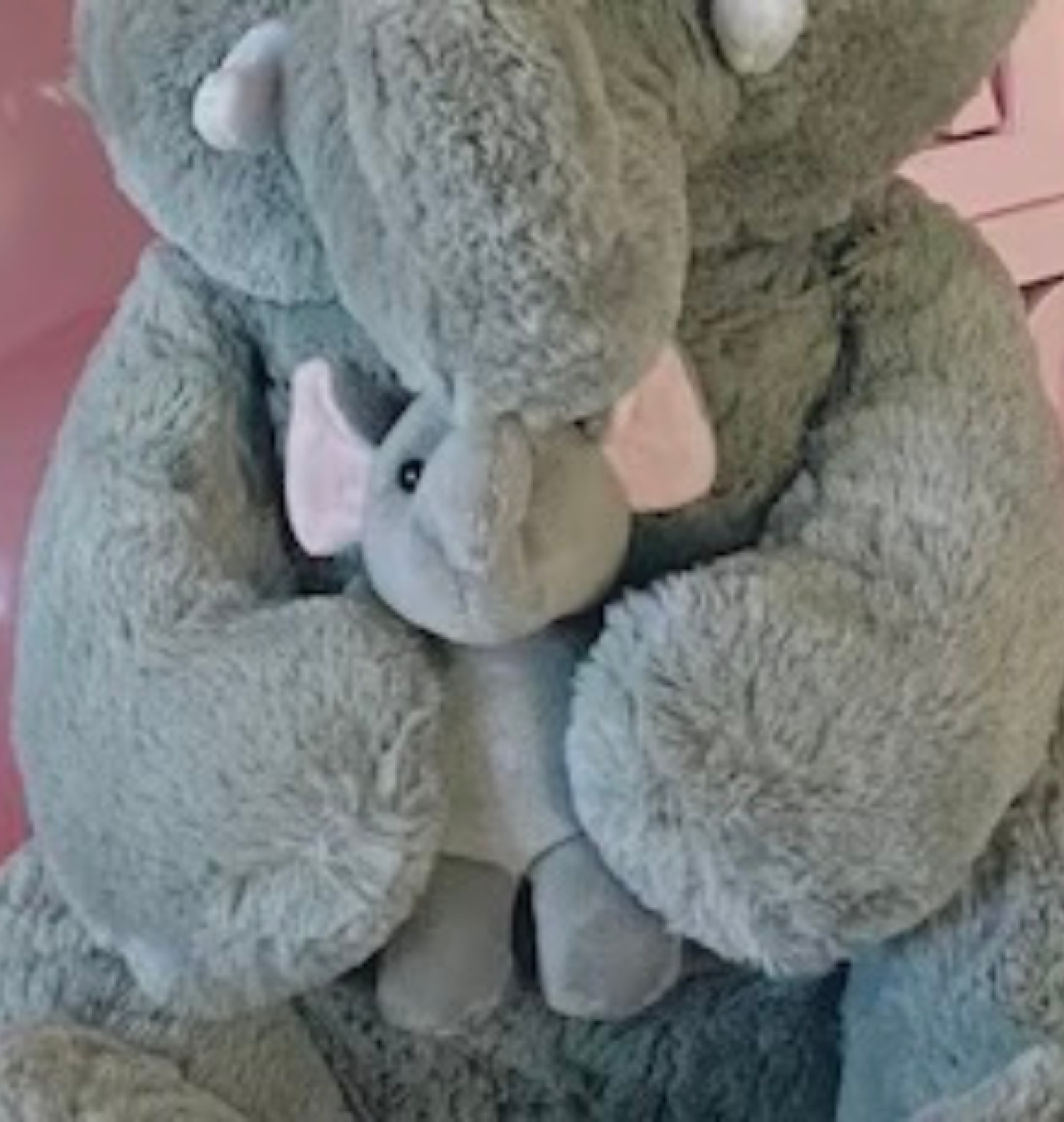 elephant shower