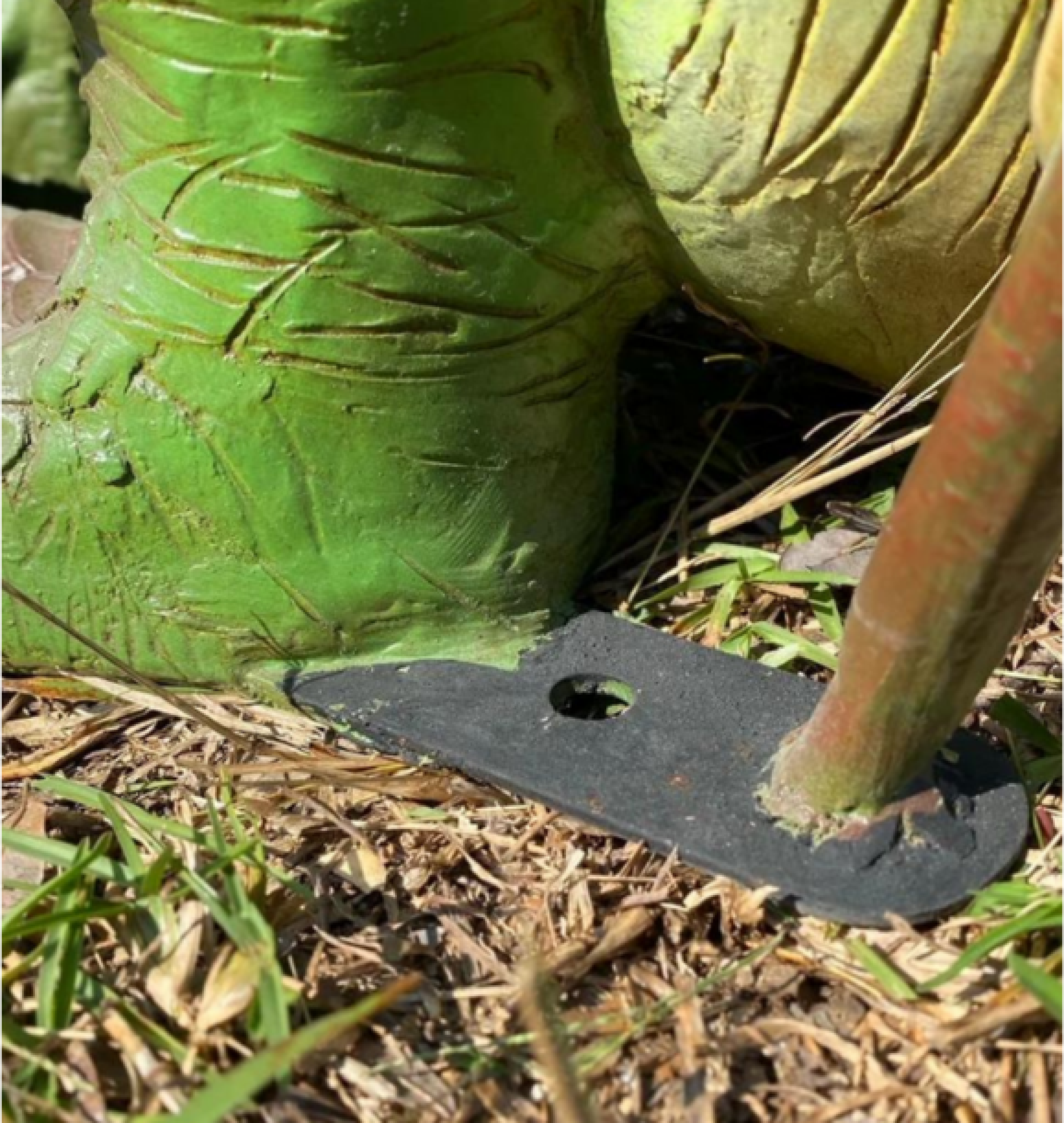 dragon statue