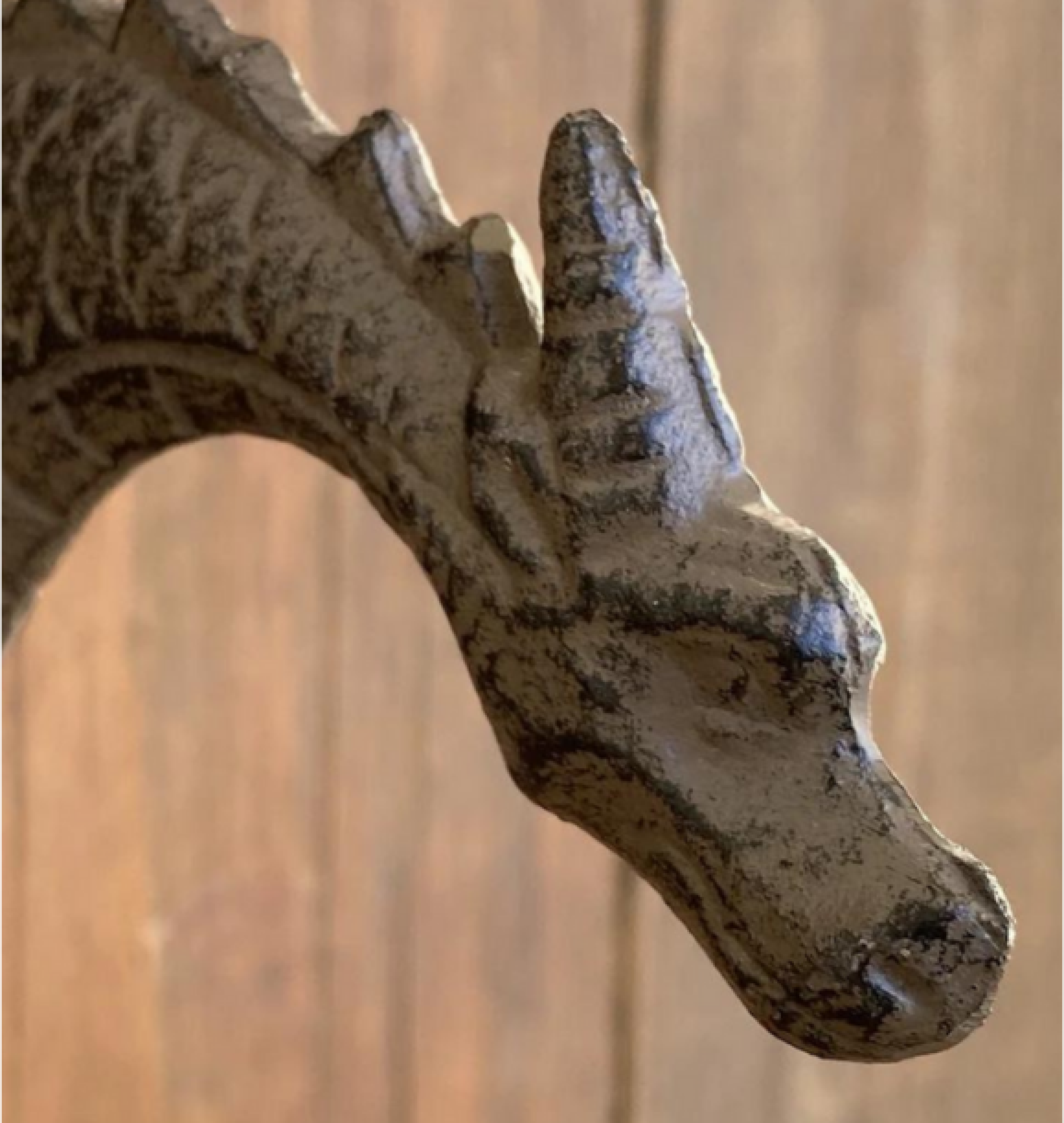 dragon decor