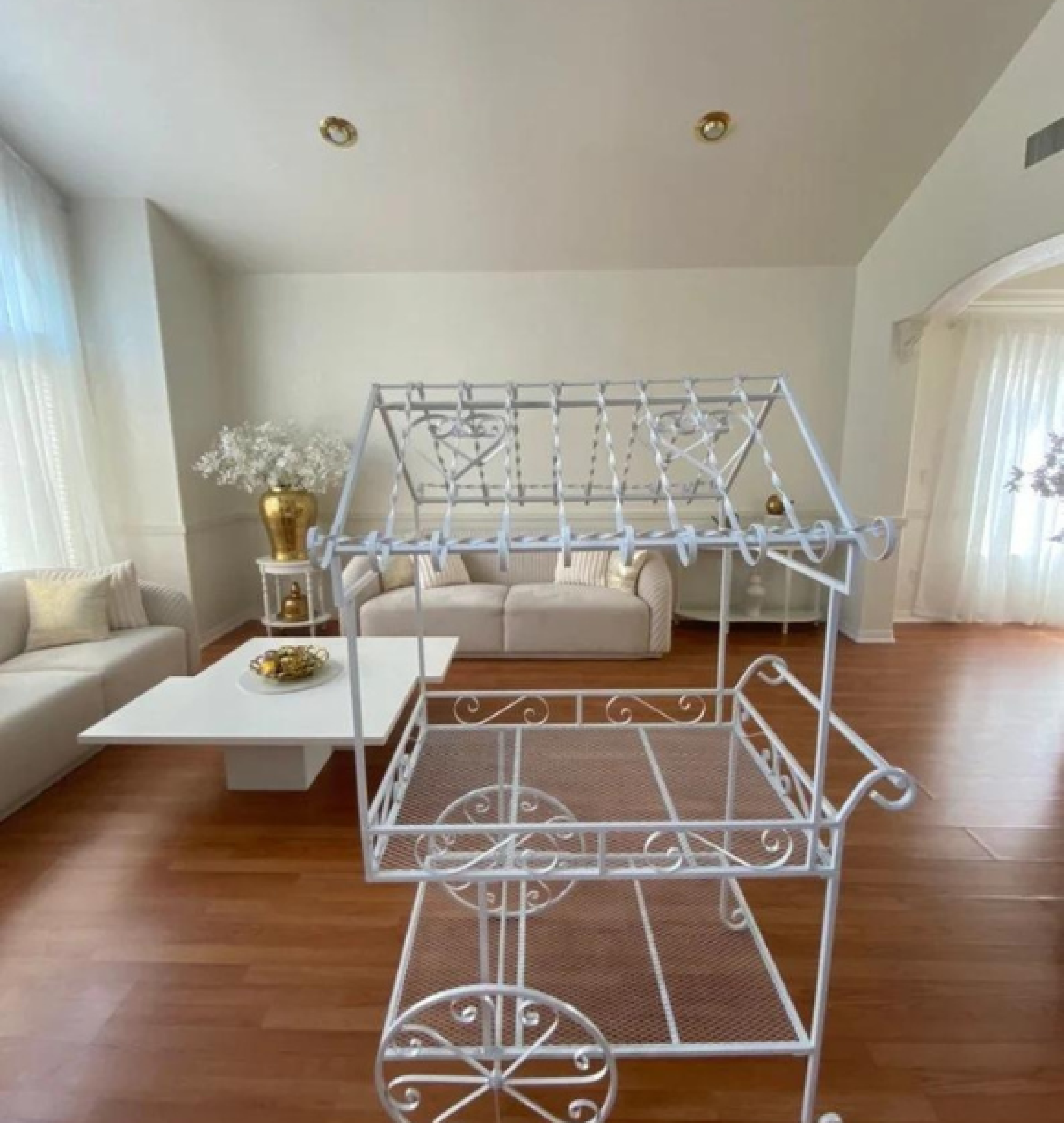treat cart