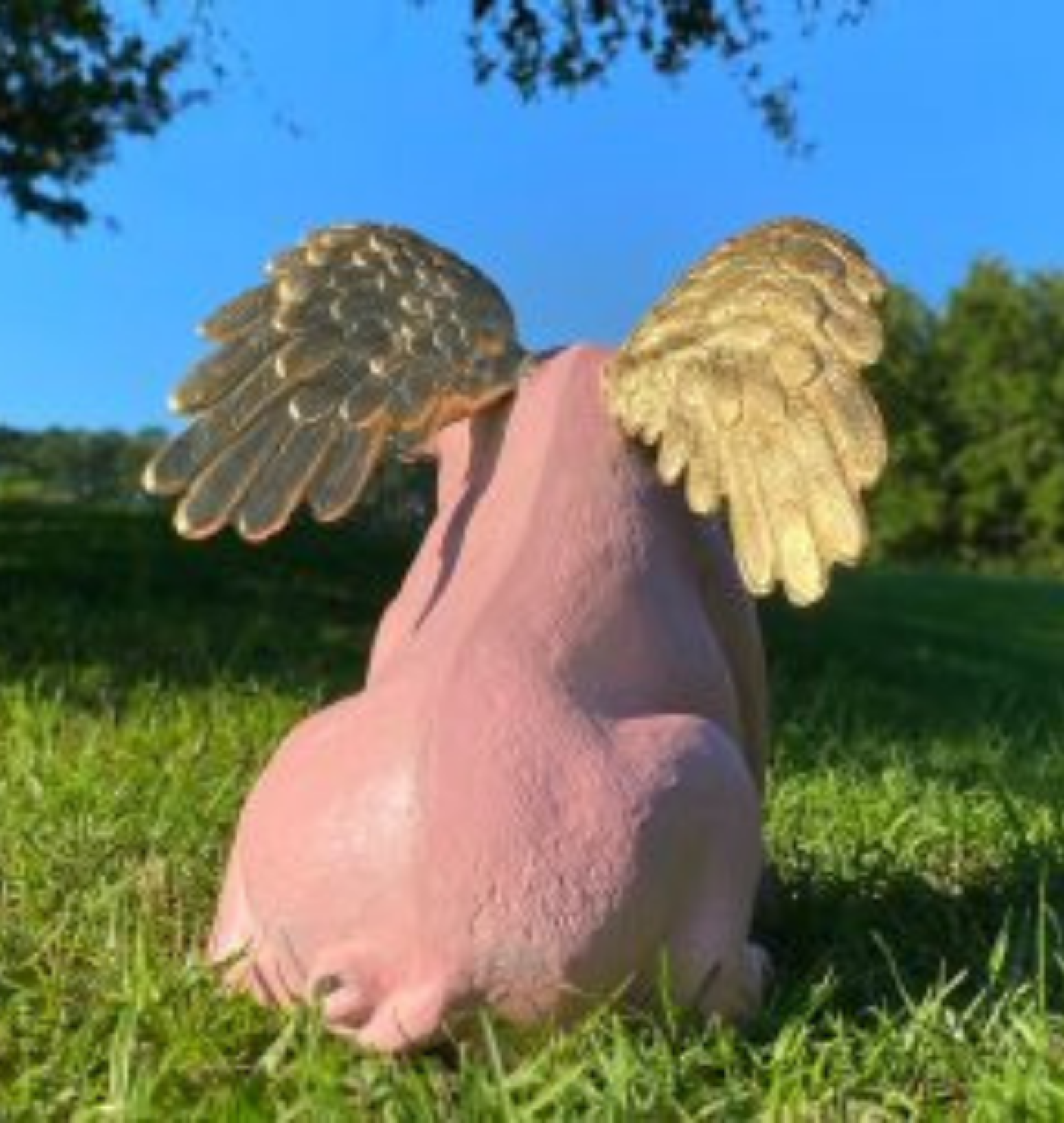 pig sculpture