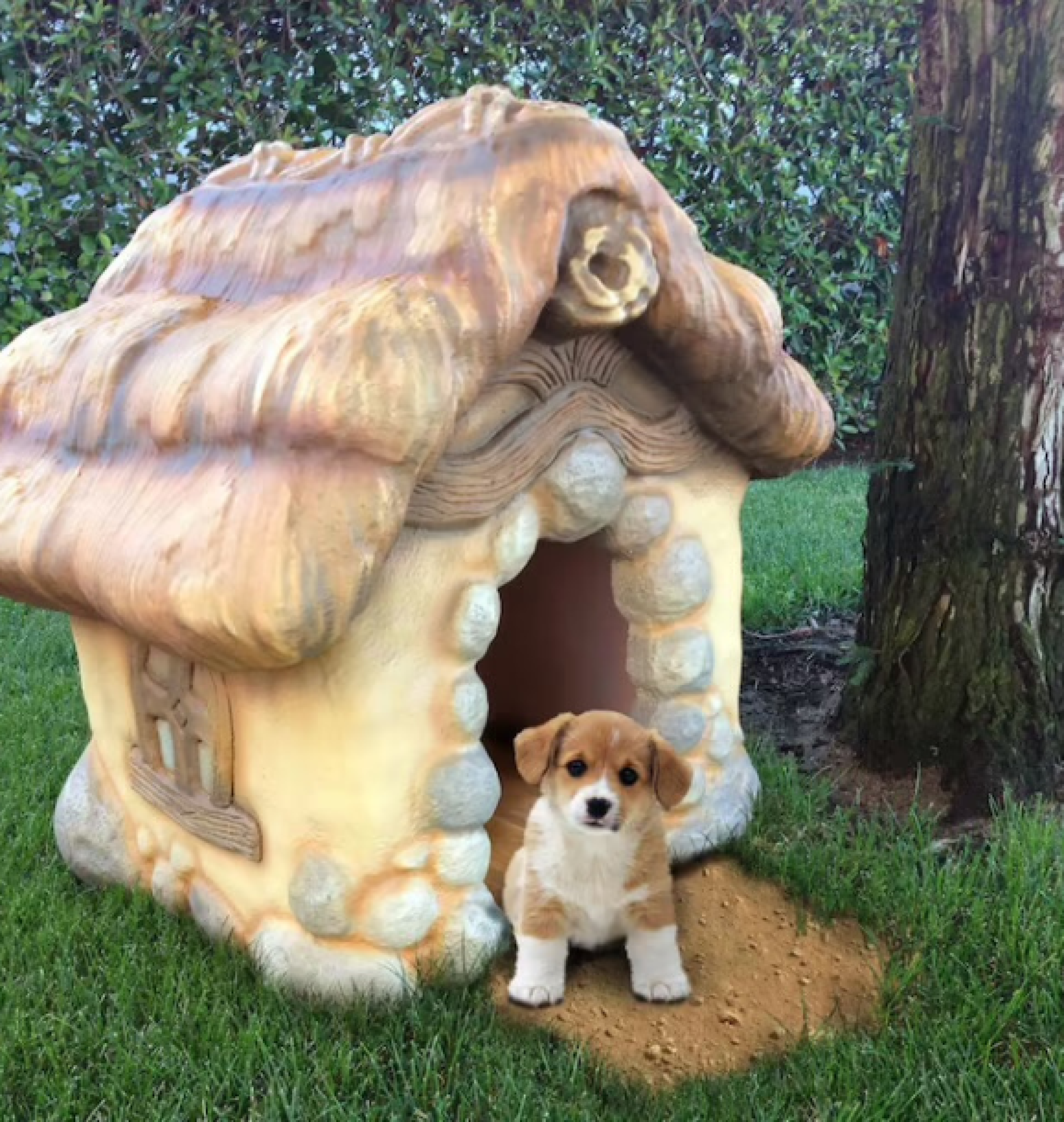 storybook pethouse