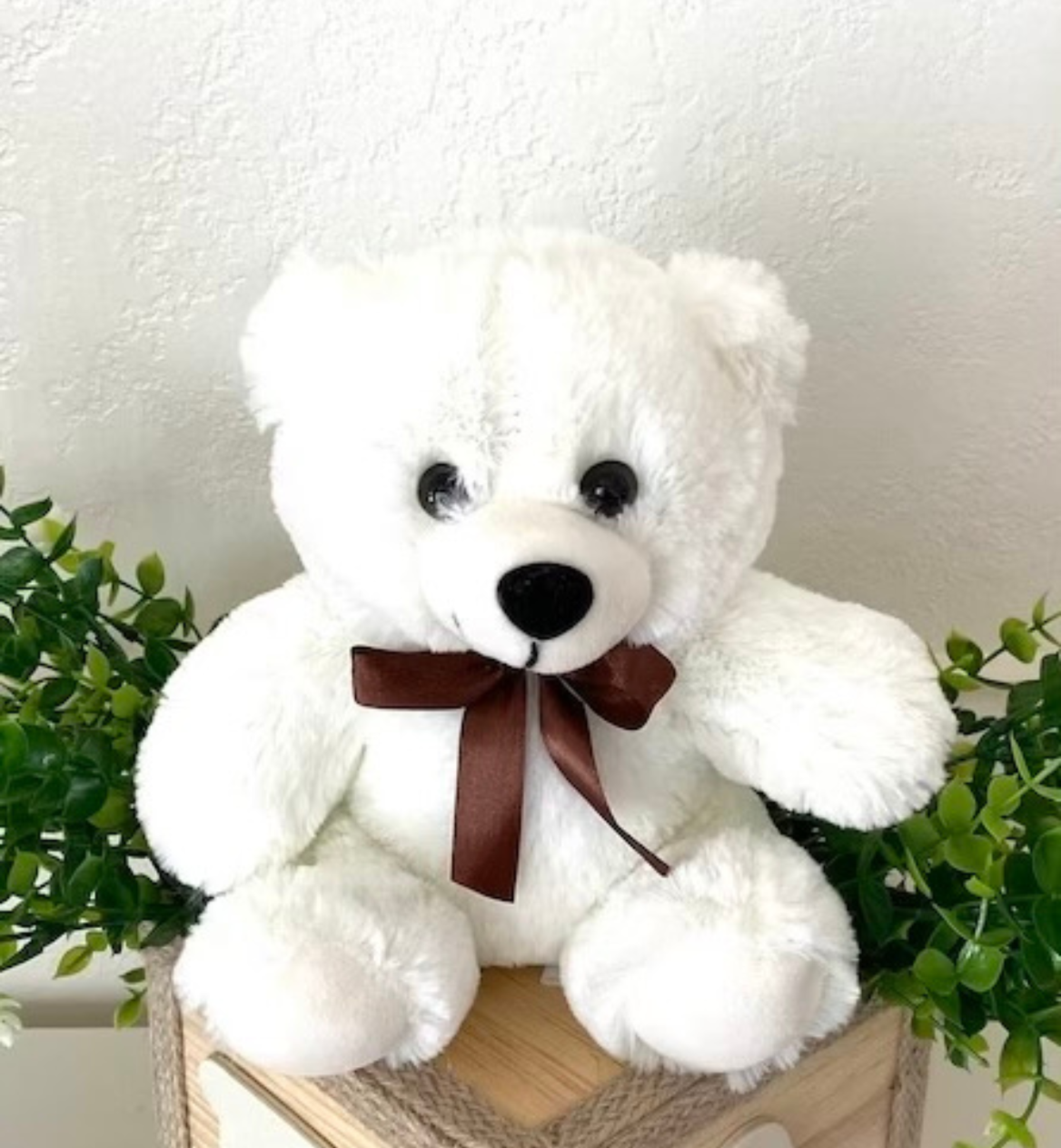 teddy  abc block