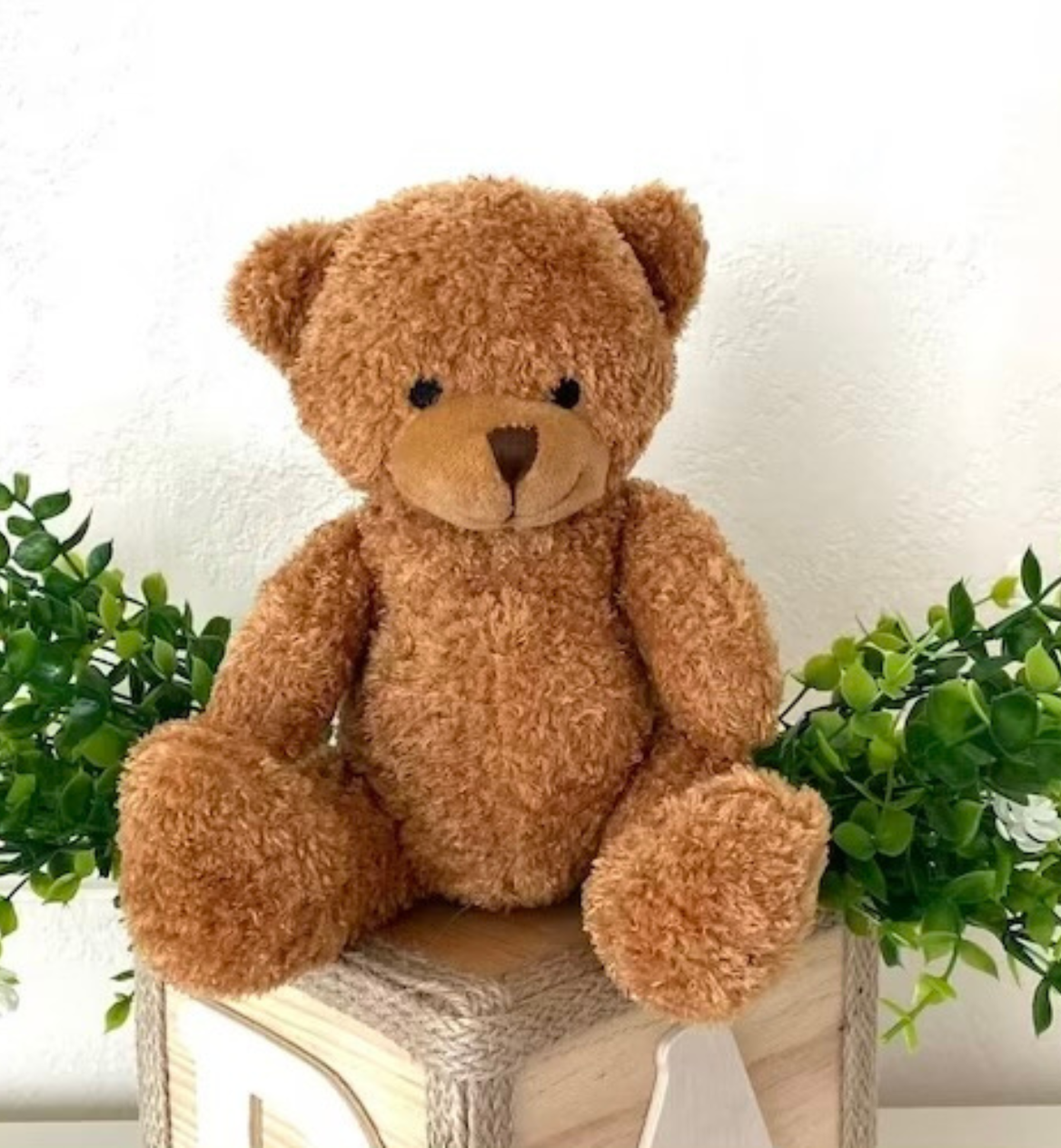 teddy abc block